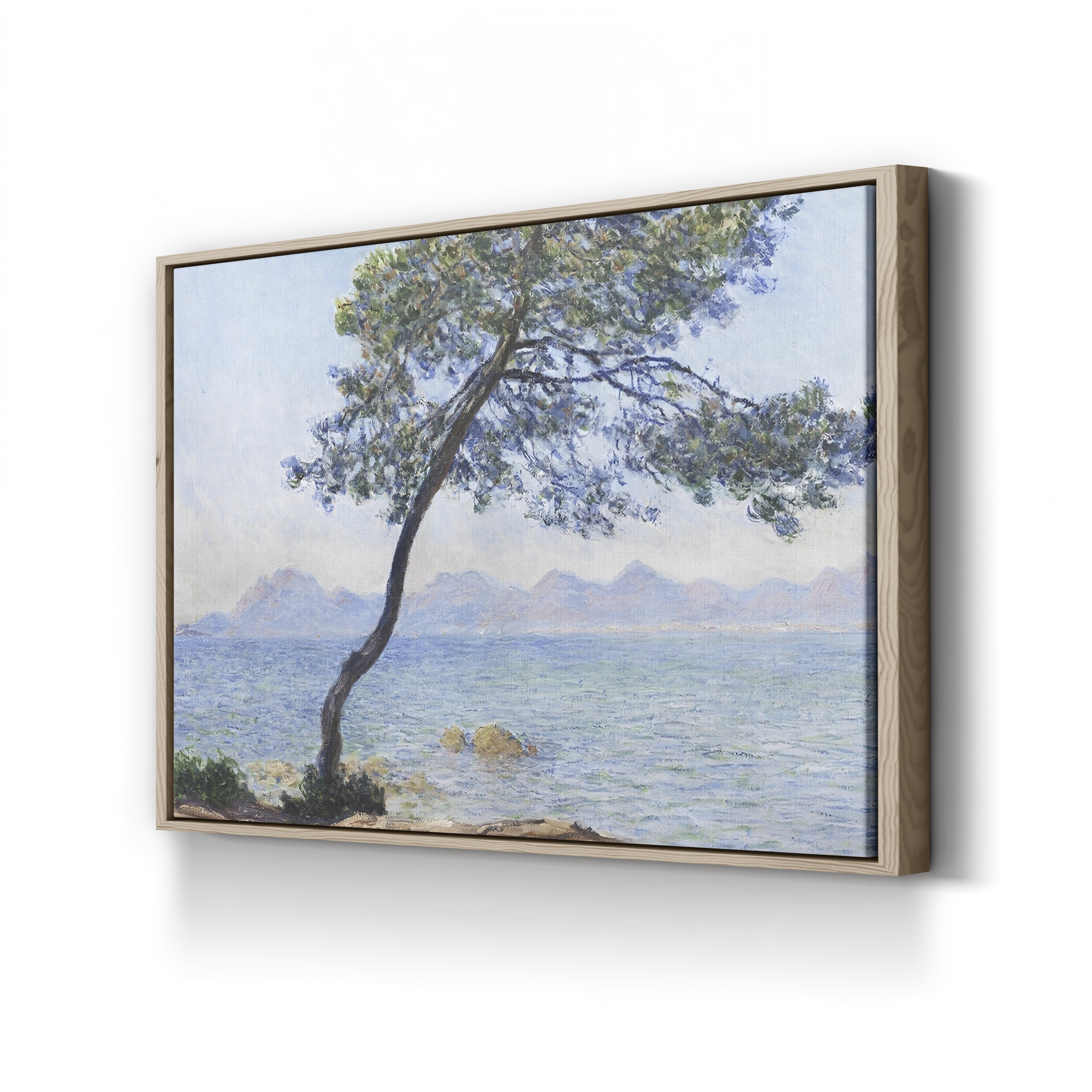 Claude Monet collection