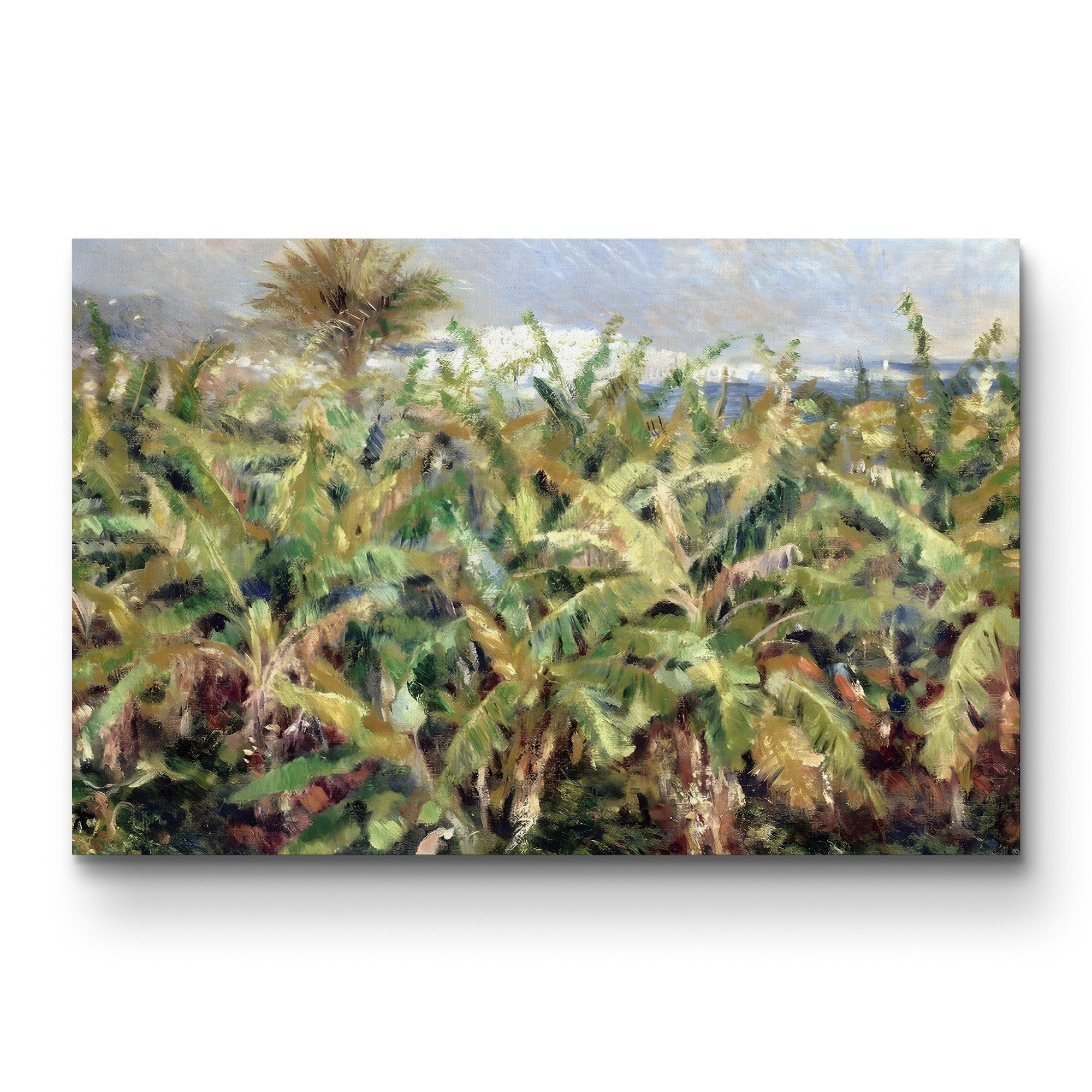 Field of Banana Trees, 1881 – Pierre-Auguste Renoir Wall Art | Impressionist Tropical Canvas Print