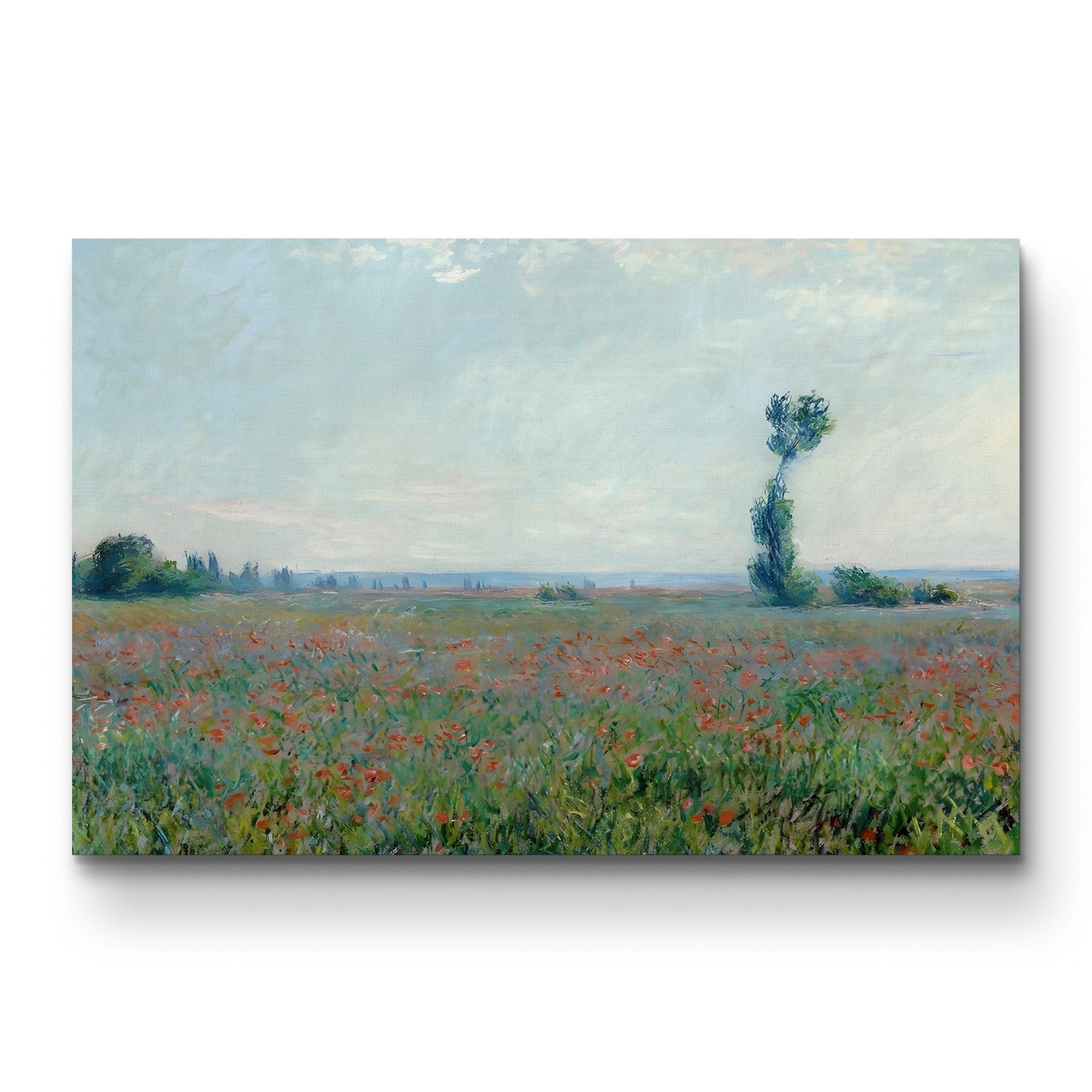 Poppy Field (Champ de coquelicots), 1881 by Claude Monet