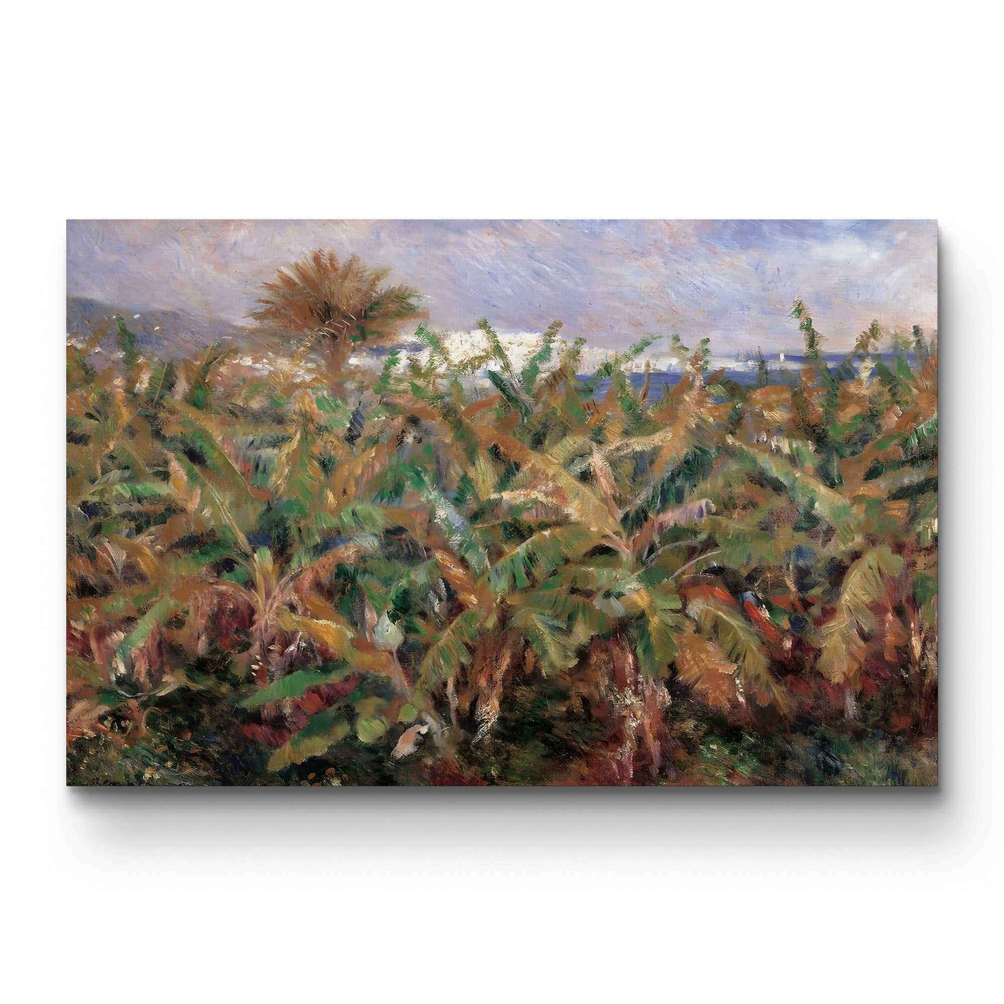 Field of Banana Trees, 1881 (Musée d'Orsay) – Pierre-Auguste Renoir Wall Art | Impressionist Tropical Canvas Print