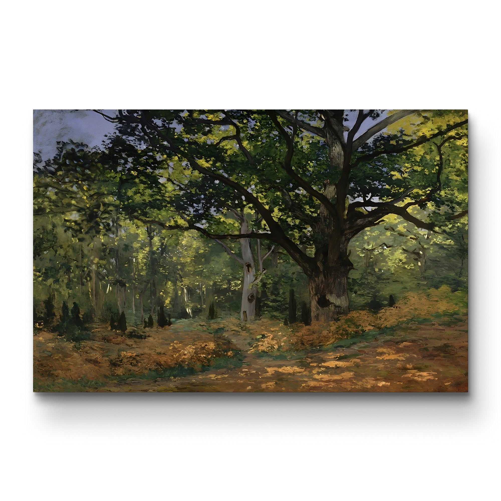 The Bodmer Oak, Fontainebleau Forest (Un chêne au Bas-Bréau, le Bodmer), 1865 by Claude Monet