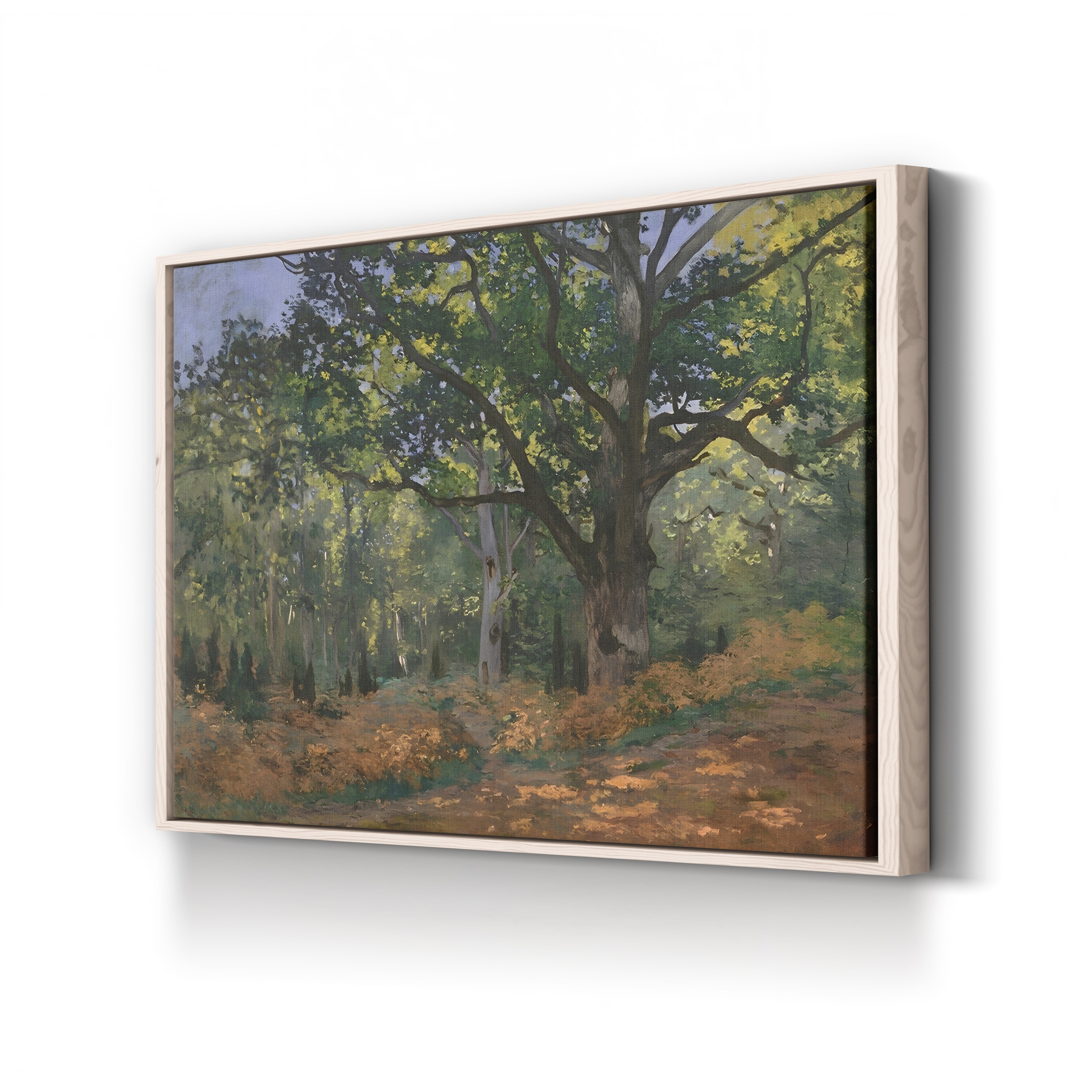 The Bodmer Oak, Fontainebleau Forest (Le Chêne de Bodmer, forêt de Fontainebleau), 1865 by Claude Monet