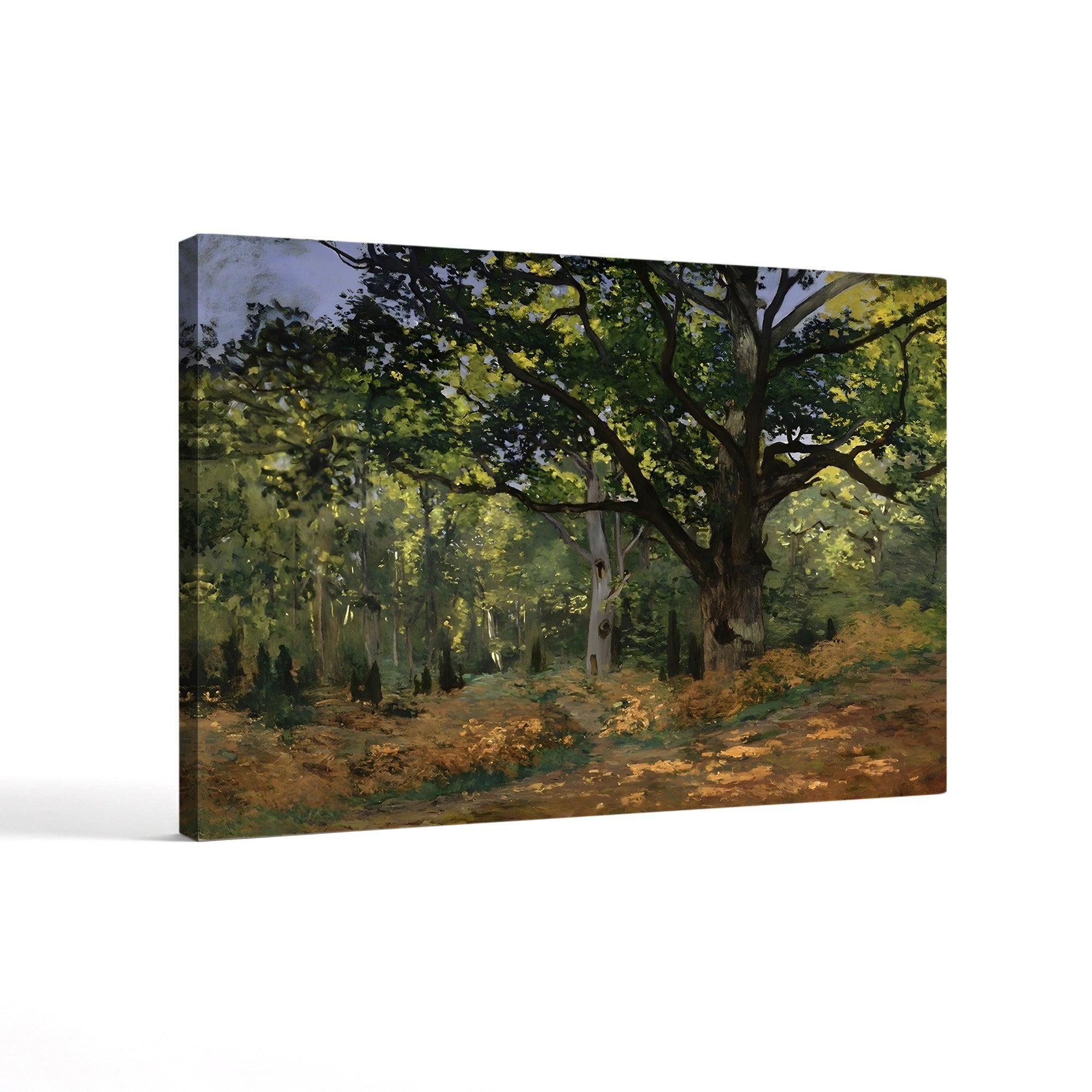 The Bodmer Oak, Fontainebleau Forest (Un chêne au Bas-Bréau, le Bodmer), 1865 by Claude Monet