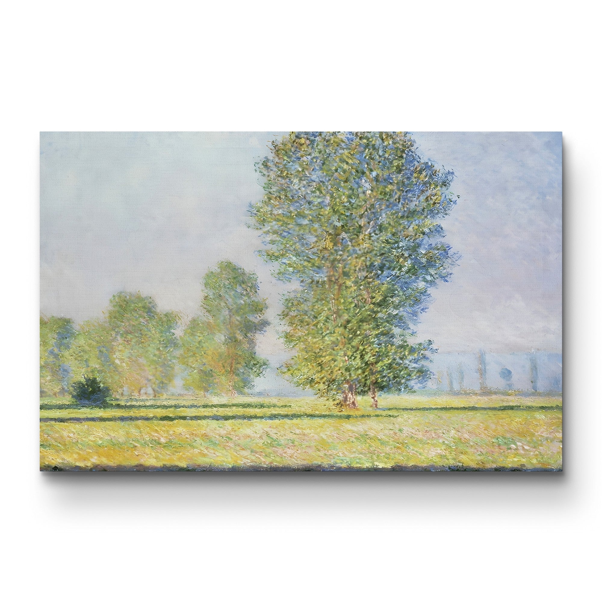 Meadow at Limetz (La Prairie de Limetz), 1888 by Claude Monet