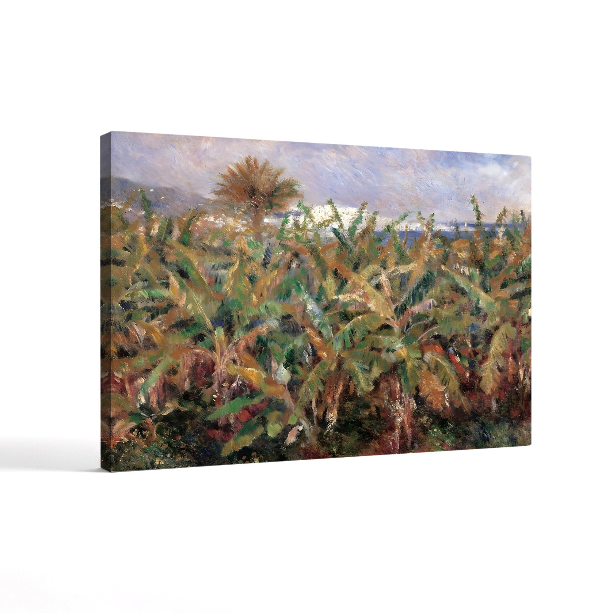 Field of Banana Trees, 1881 (Musée d'Orsay) – Pierre-Auguste Renoir Wall Art | Impressionist Tropical Canvas Print