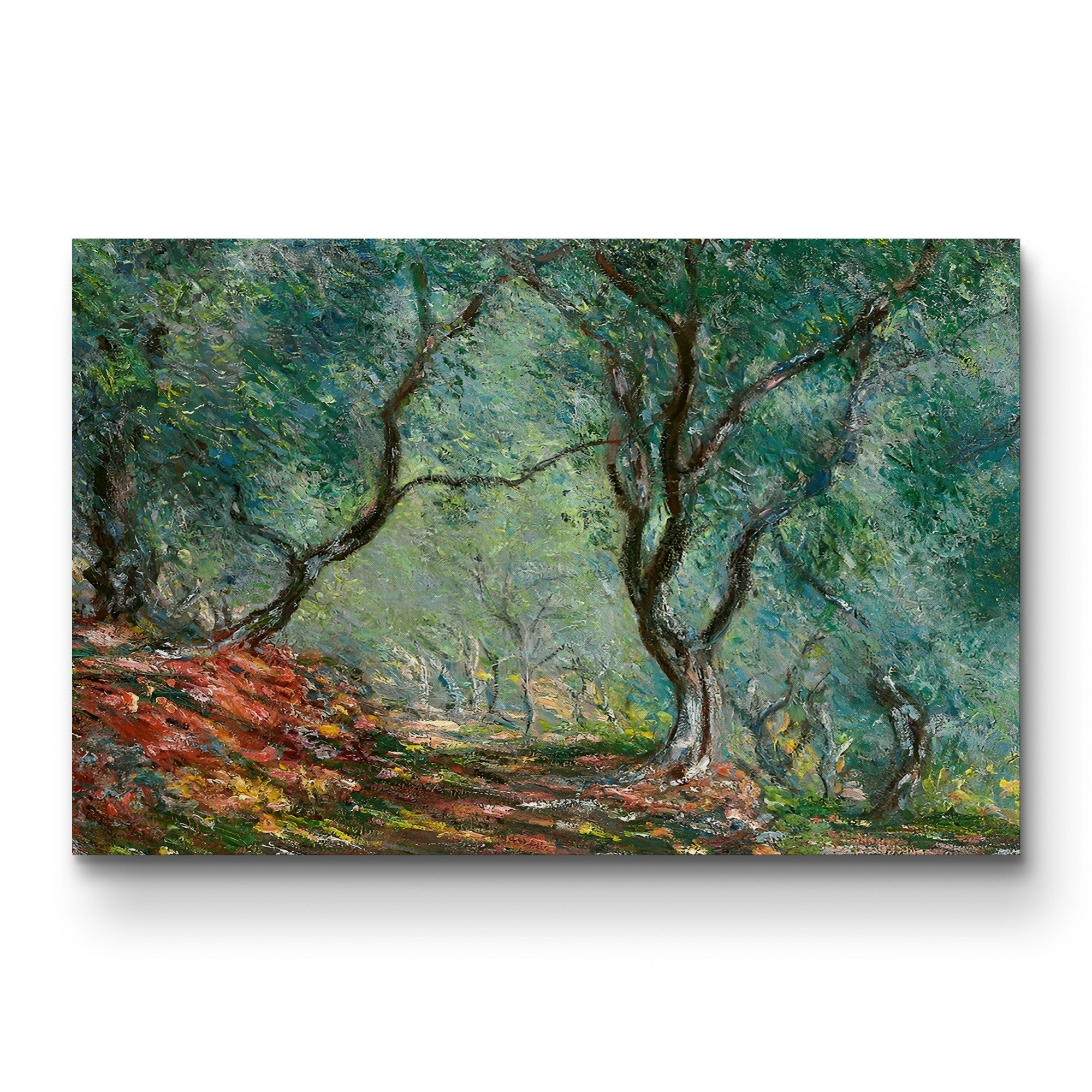 Olive Trees in the Moreno Garden (Bois d’oliviers au jardin Moreno), 1884 by Claude Monet