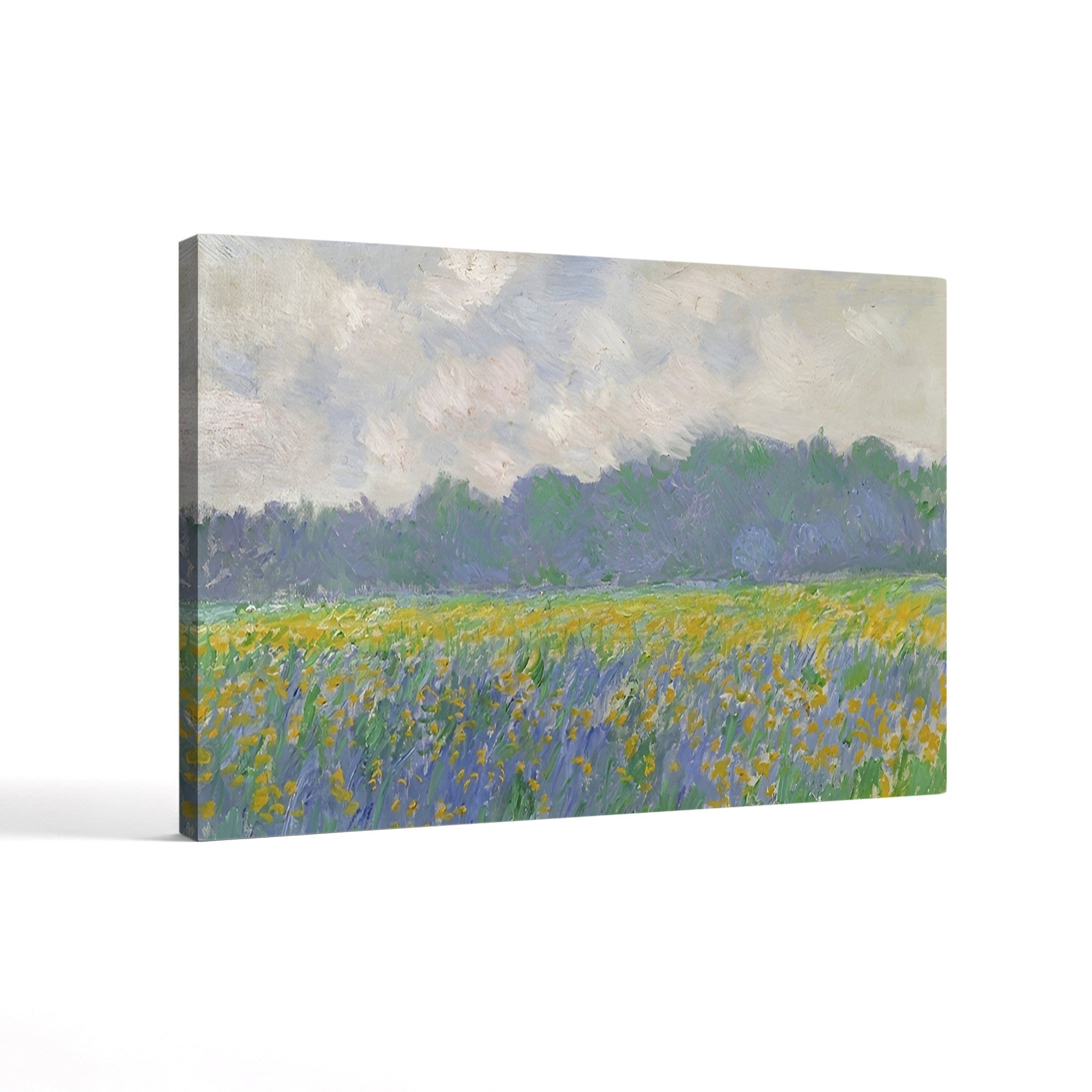 Field of Yellow Irises at Giverny, 1887 – Claude Monet Wall Art | Impressionist Floral Field Canvas Print