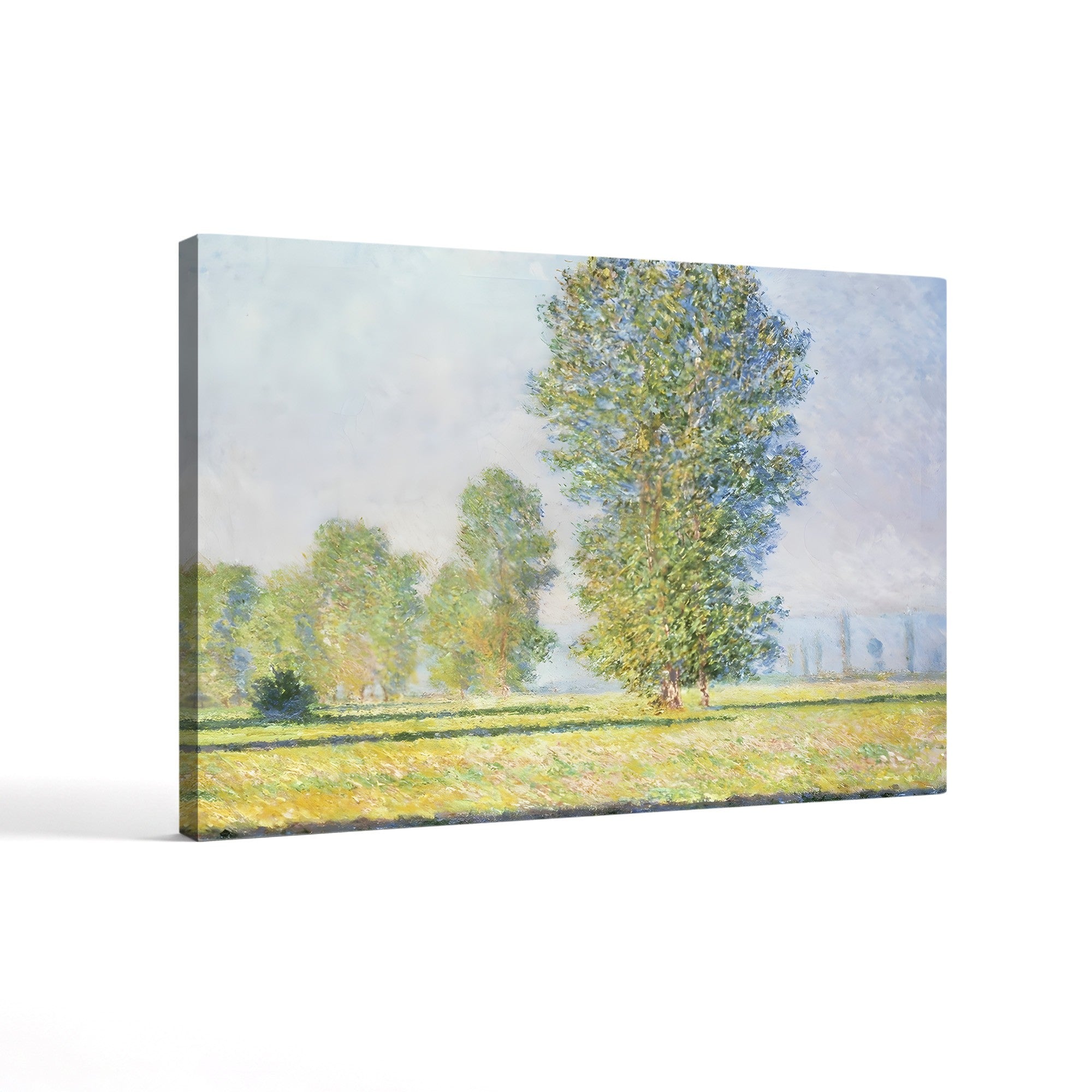 Meadow at Limetz (La Prairie de Limetz), 1888 by Claude Monet
