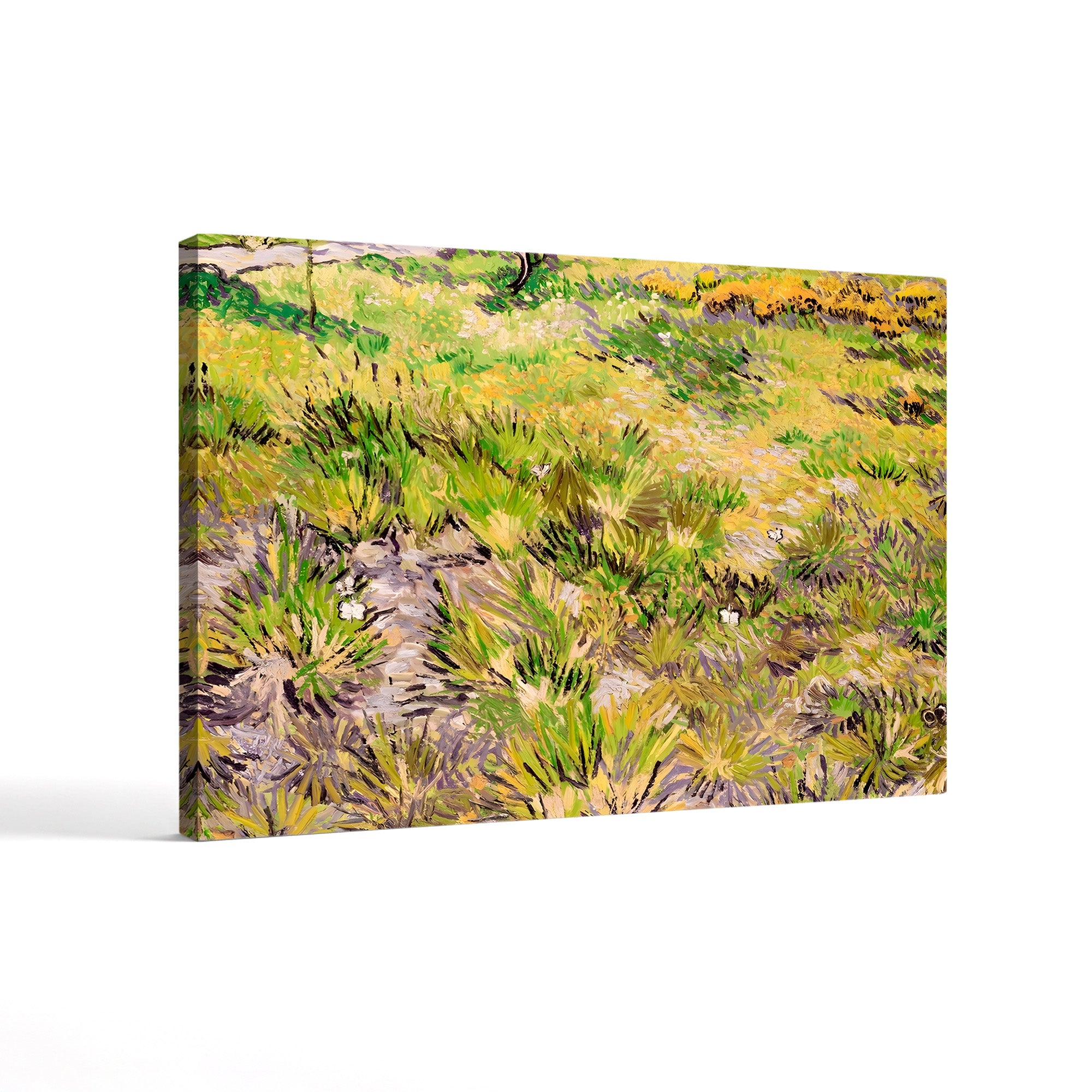 Meadow with Butterflies, 1890 – Vincent van Gogh Wall Art | Post-Impressionist Nature Canvas Print