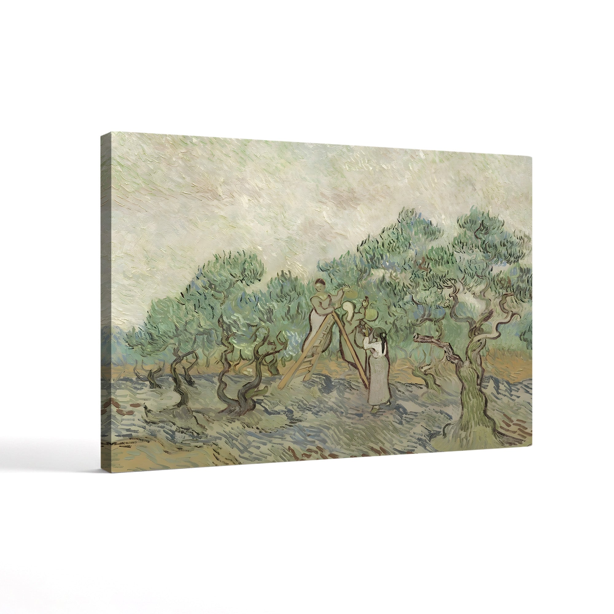 The Olive Orchard, 1889 – Vincent van Gogh Wall Art | Post-Impressionist Landscape Canvas Print