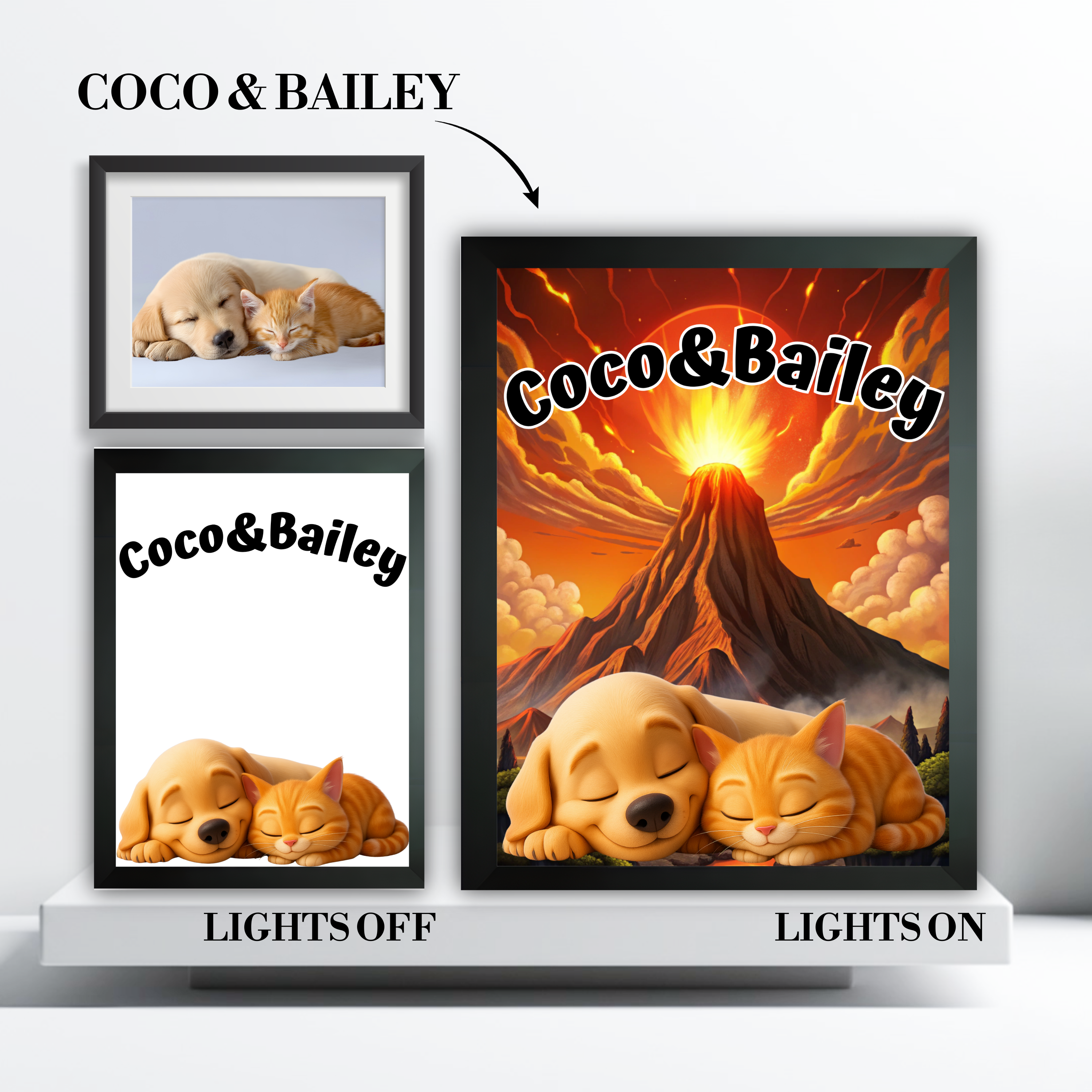 Custom cartoon pet portrait LED light box on display