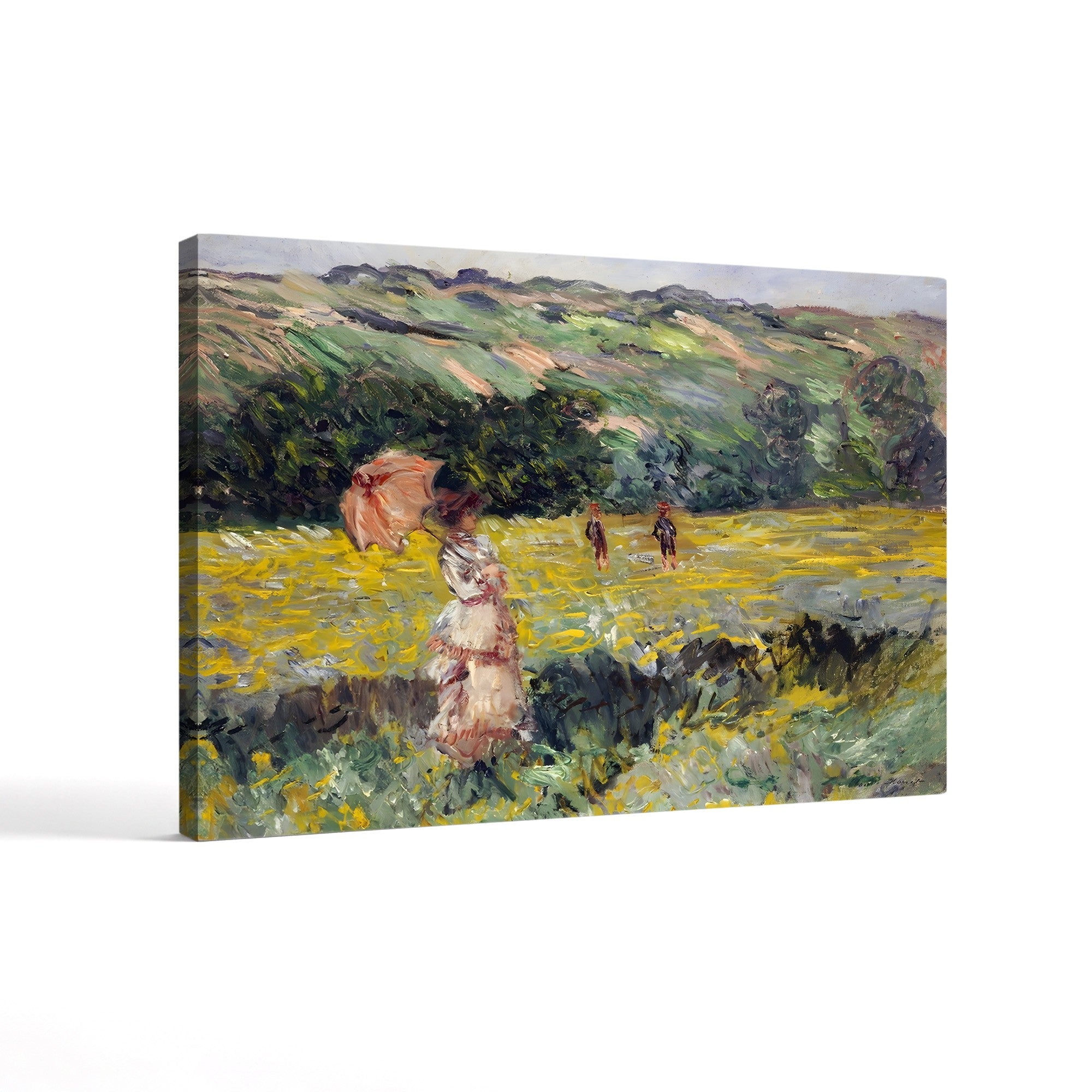 Meadow at Limetz (La Prairie de Limetz), 1887 by Claude Monet