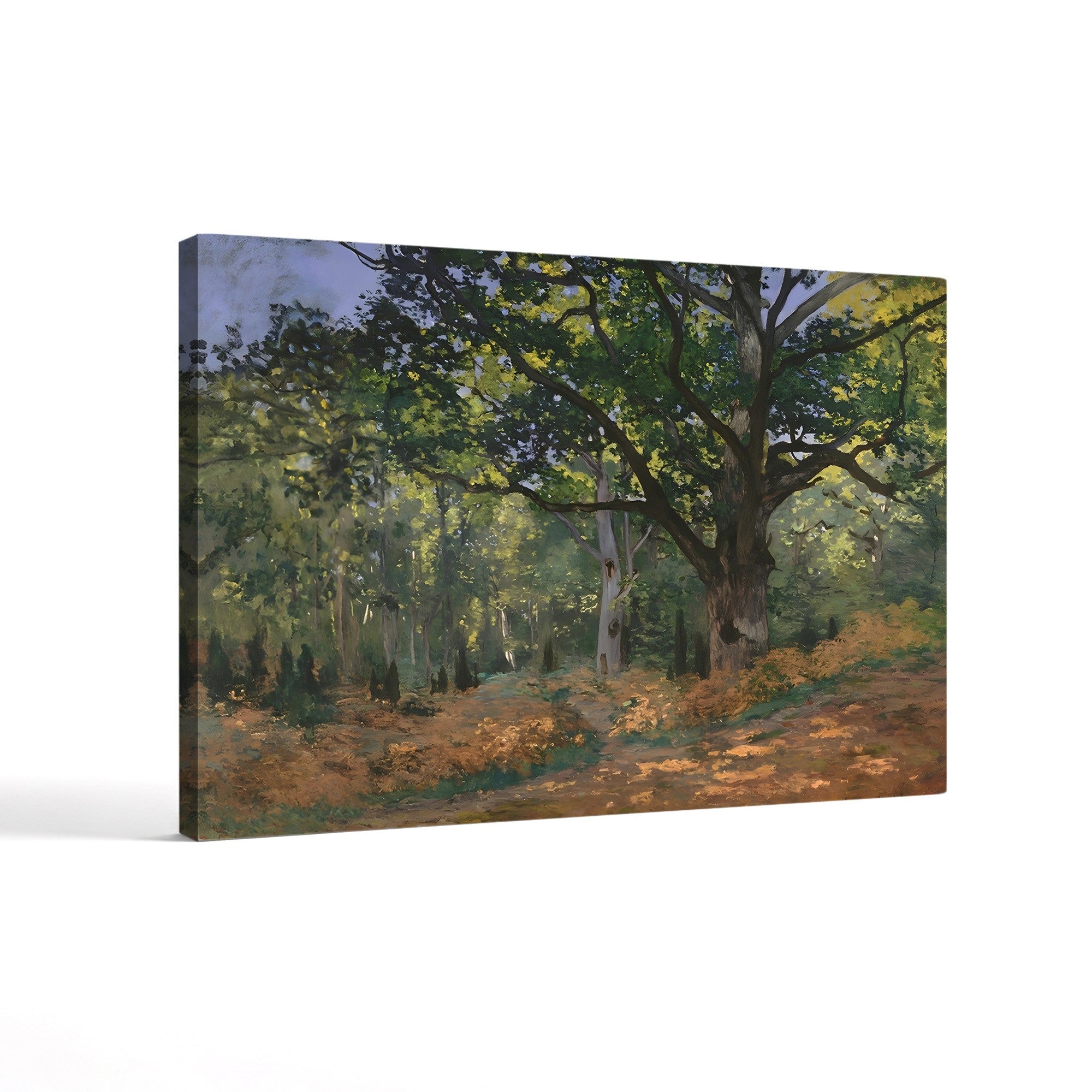 The Bodmer Oak, Fontainebleau Forest (Le Chêne de Bodmer, forêt de Fontainebleau), 1865 by Claude Monet