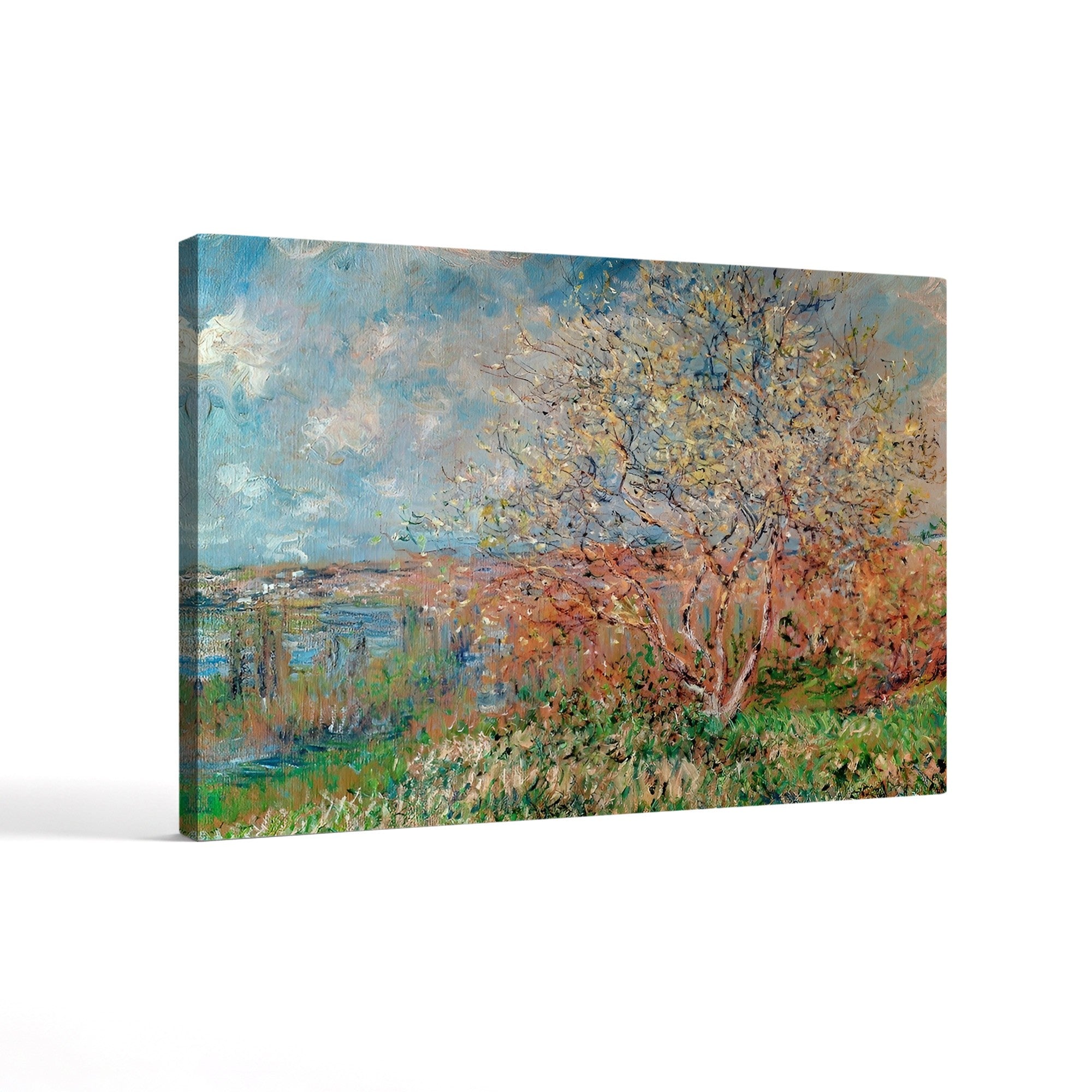 Spring (Le Printemps), 1880-82 by Claude Monet