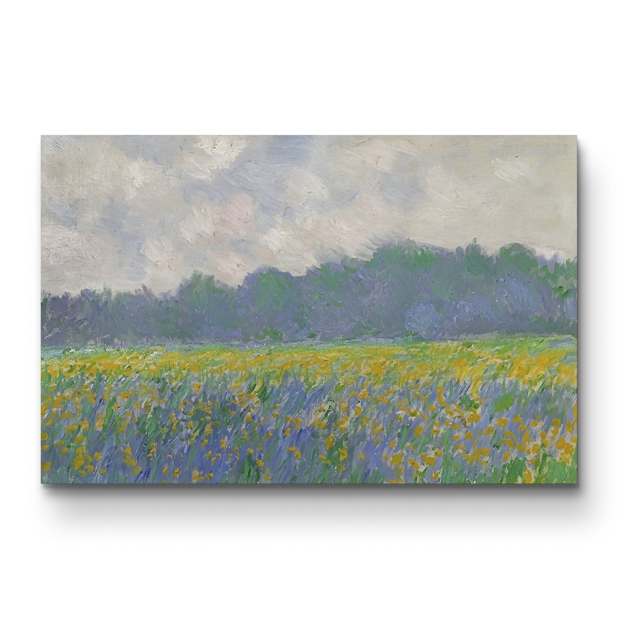 Field of Yellow Irises at Giverny, 1887 – Claude Monet Wall Art | Impressionist Floral Field Canvas Print