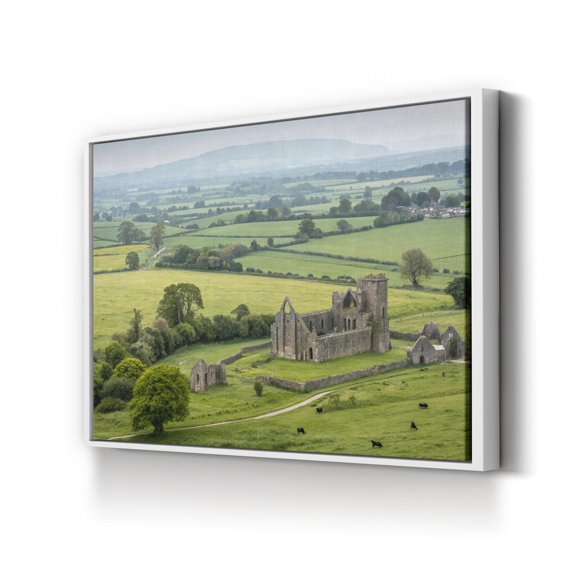 Hore Abbey Medieval Ruins, County Tipperary, Ireland canvas print in a white frame