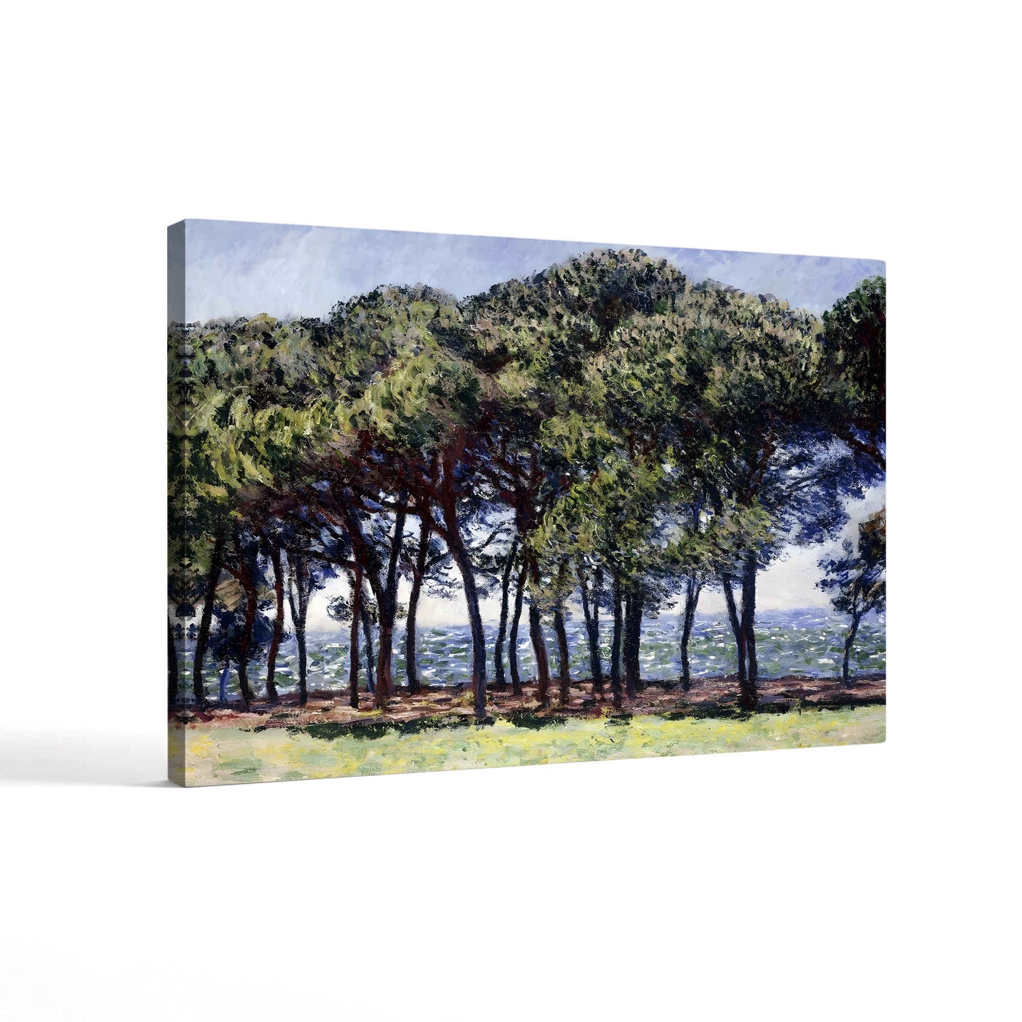 Pine Trees at Cap d’Antibes (Pins, Cap d’Antibes), 1888 by Claude Monet