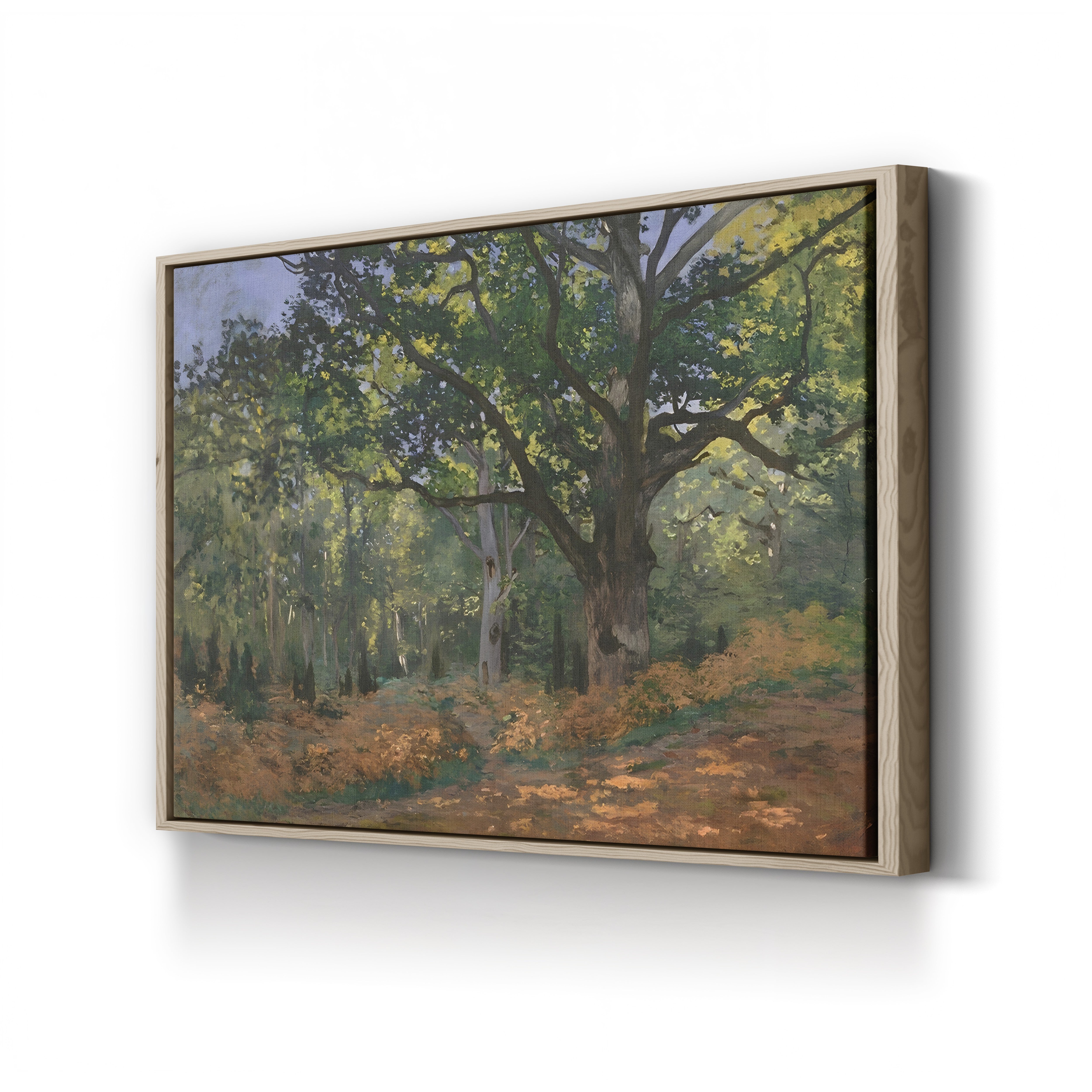 The Bodmer Oak, Fontainebleau Forest (Le Chêne de Bodmer, forêt de Fontainebleau), 1865 by Claude Monet