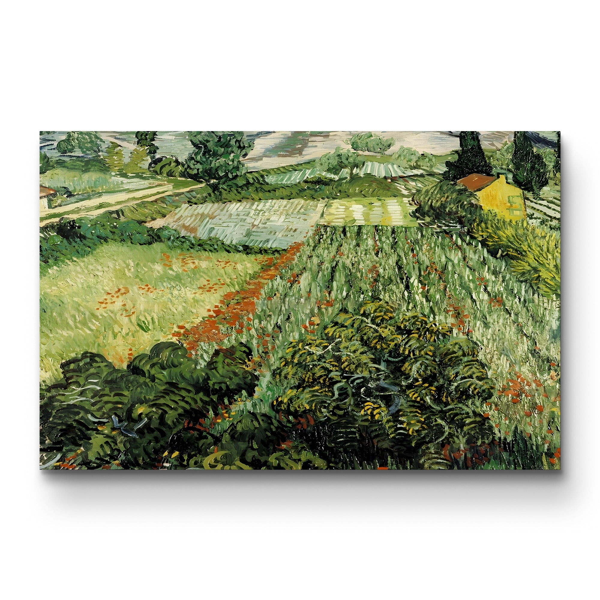Feld mit Mohnblumen (Field with Poppies) – Vincent van Gogh Wall Art | Post-Impressionist Landscape Canvas Print