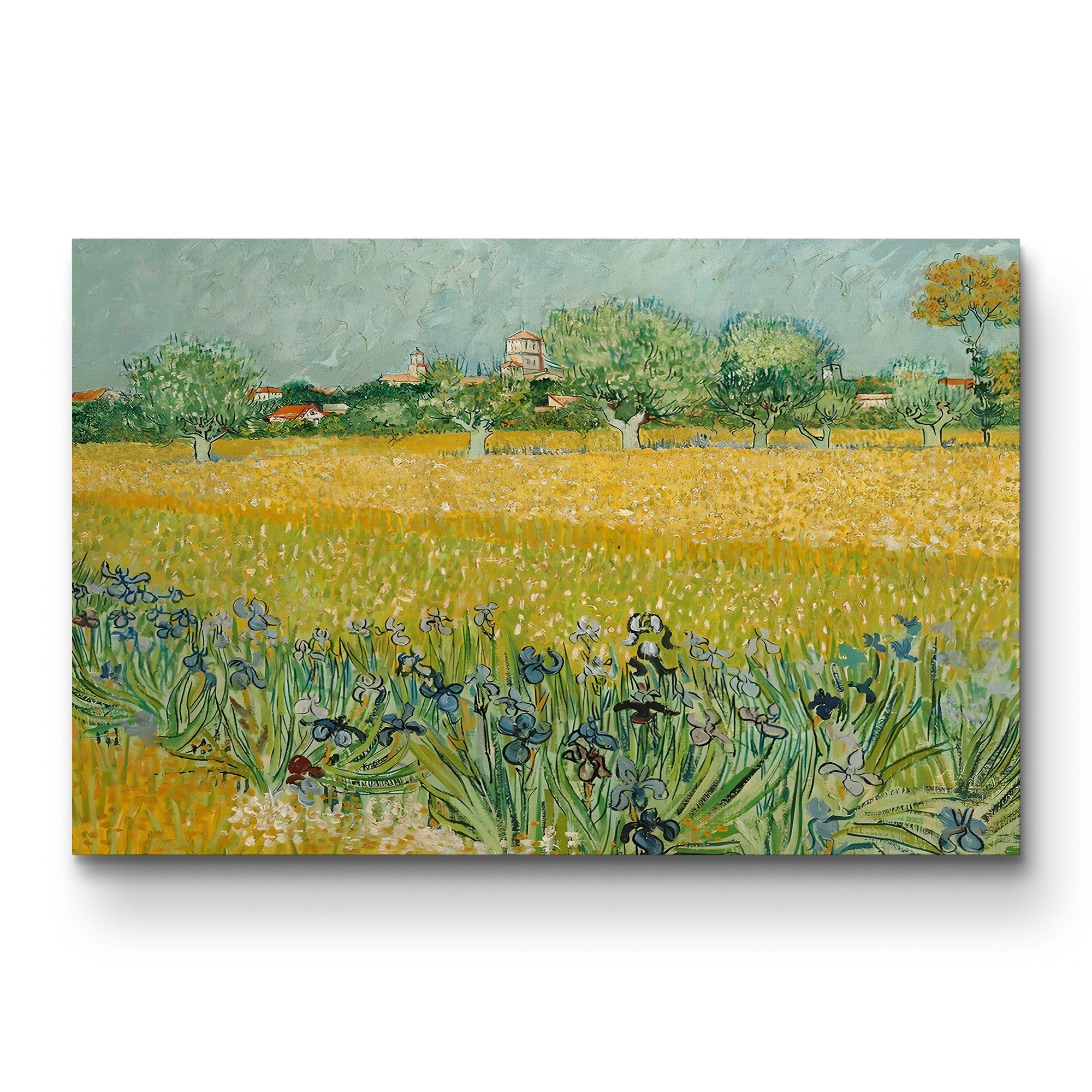 Field with Irises Near Arles – Vincent van Gogh Wall Art | Post-Impressionist Landscape Canvas Print