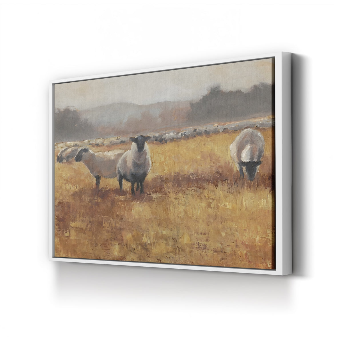 Grazing at Sunset I by Ethan Harper canvas print in white frame