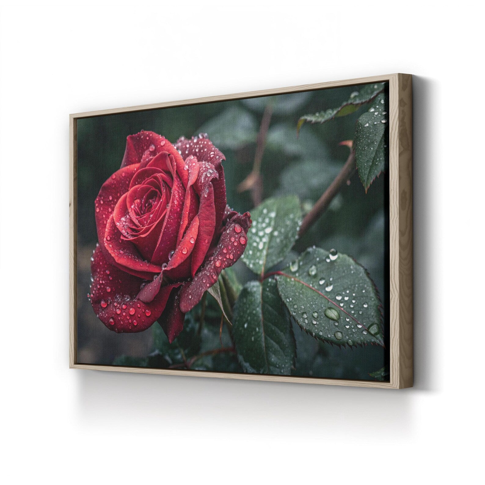 Red Rose – Vintage Photography Wall Art | Dew Drops Botanical Canvas Print