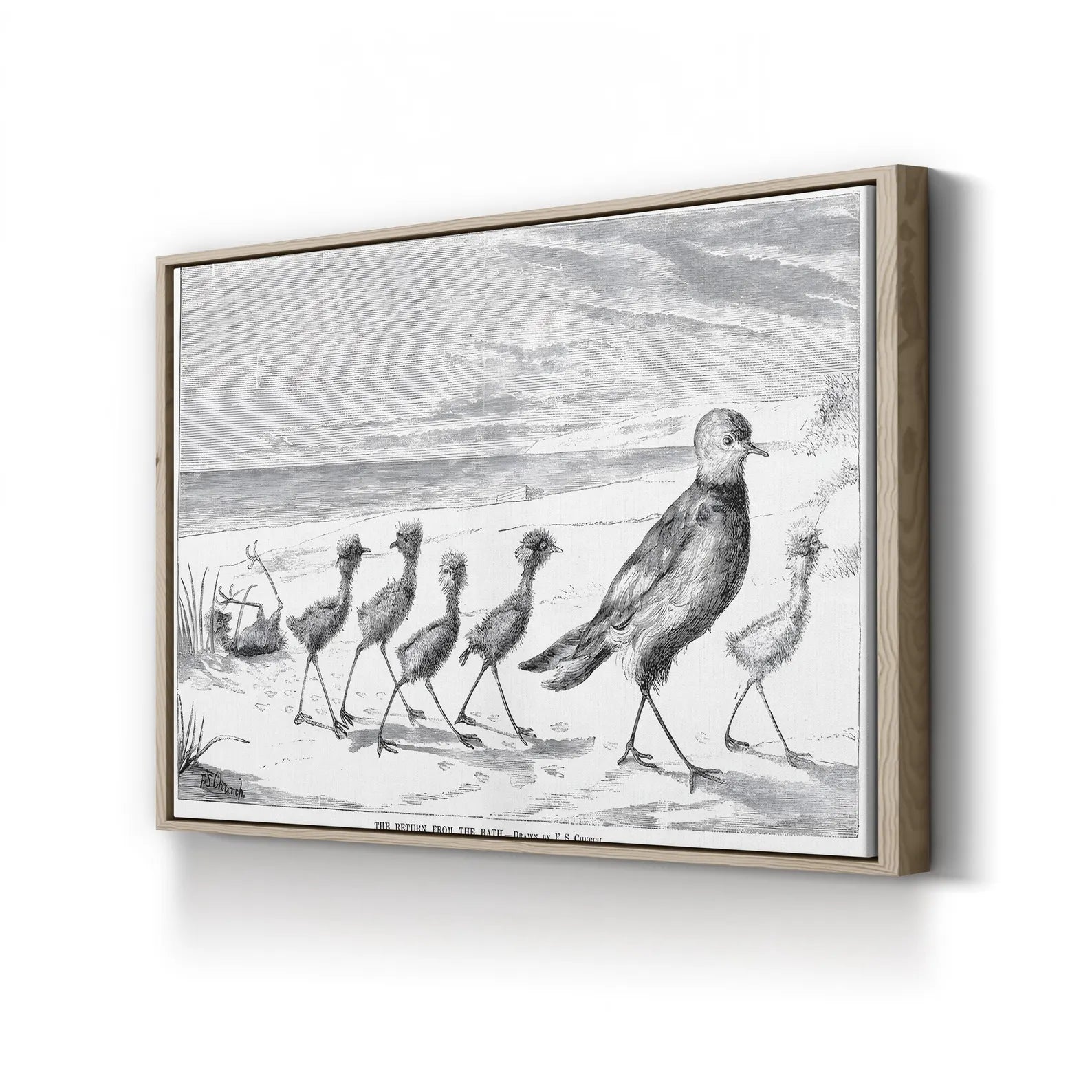 Vintage Bird Family Canvas Art Print: 1879 Engraved Nature Illustration