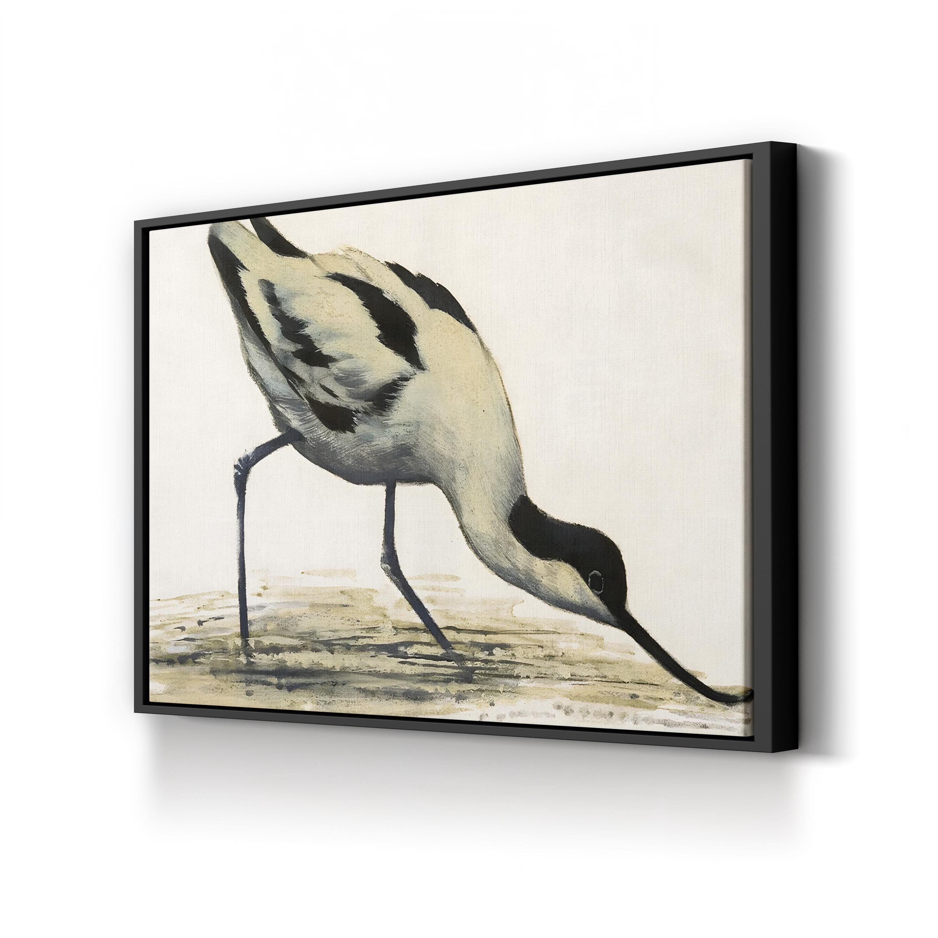 Vintage Avocet Bird Print: Black and White Shorebird Illustration