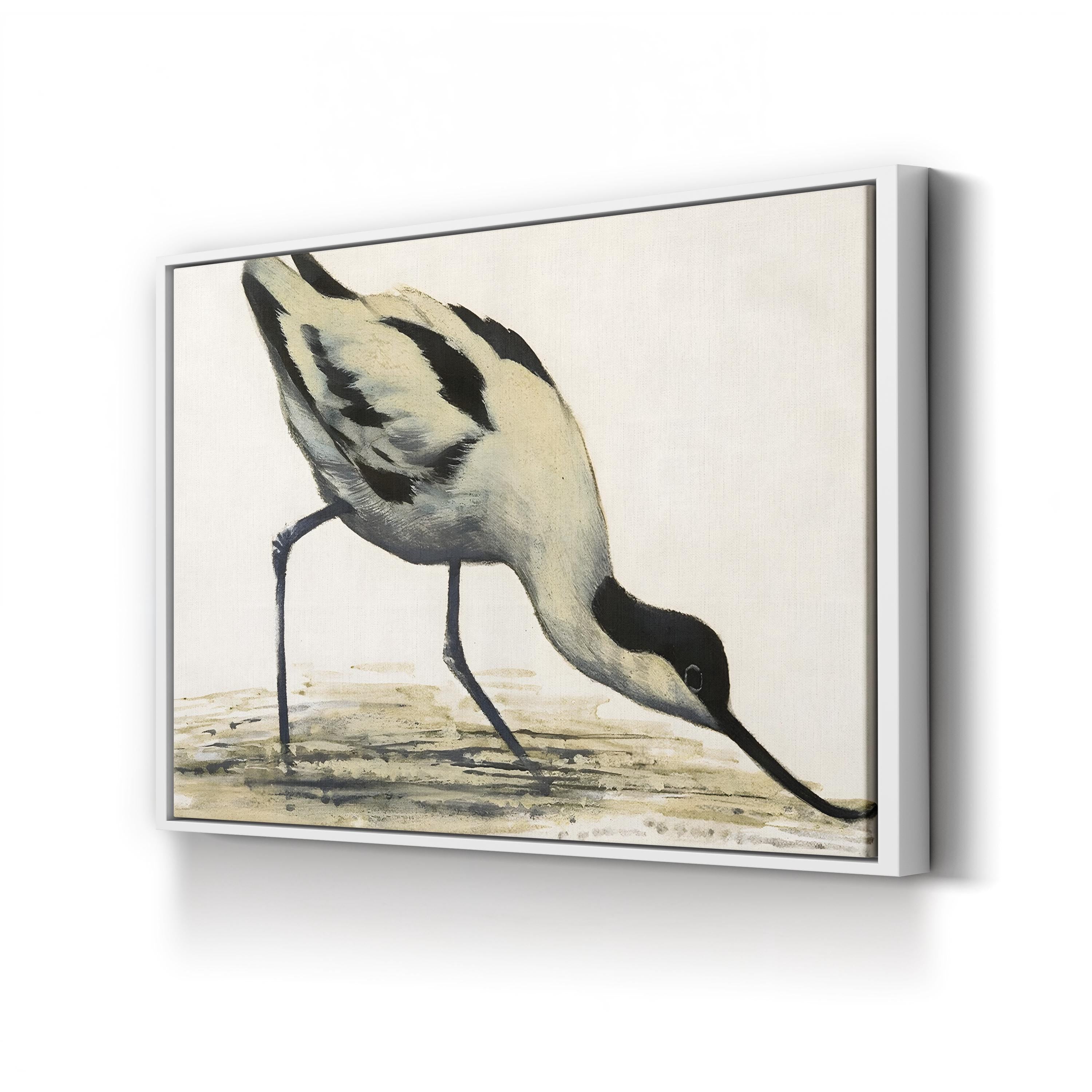 Vintage Avocet Bird Print: Black and White Shorebird Illustration