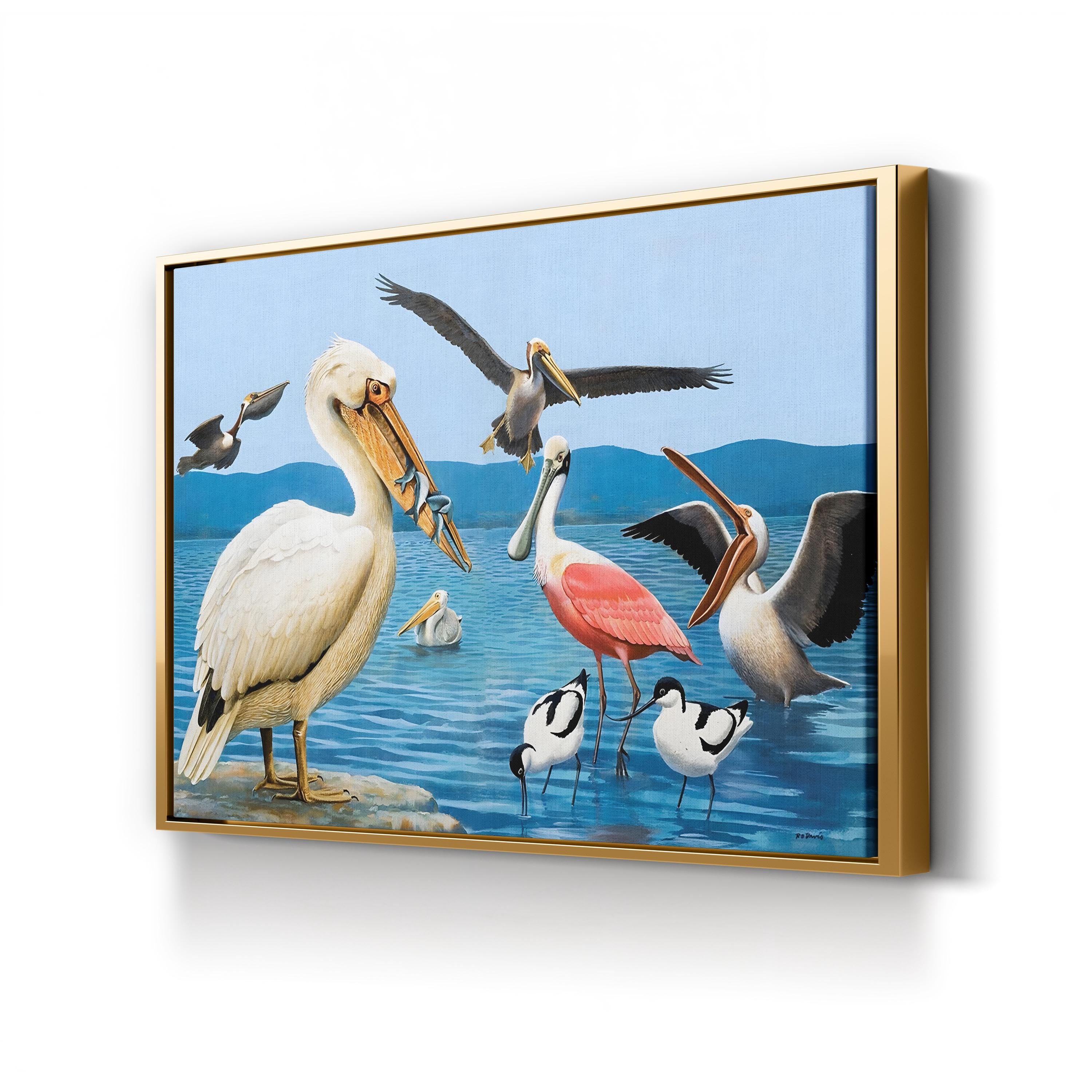 Birds with Strange Beaks Wall Art by Richard Barrett Davis – Coastal Bird Illustration, 1972