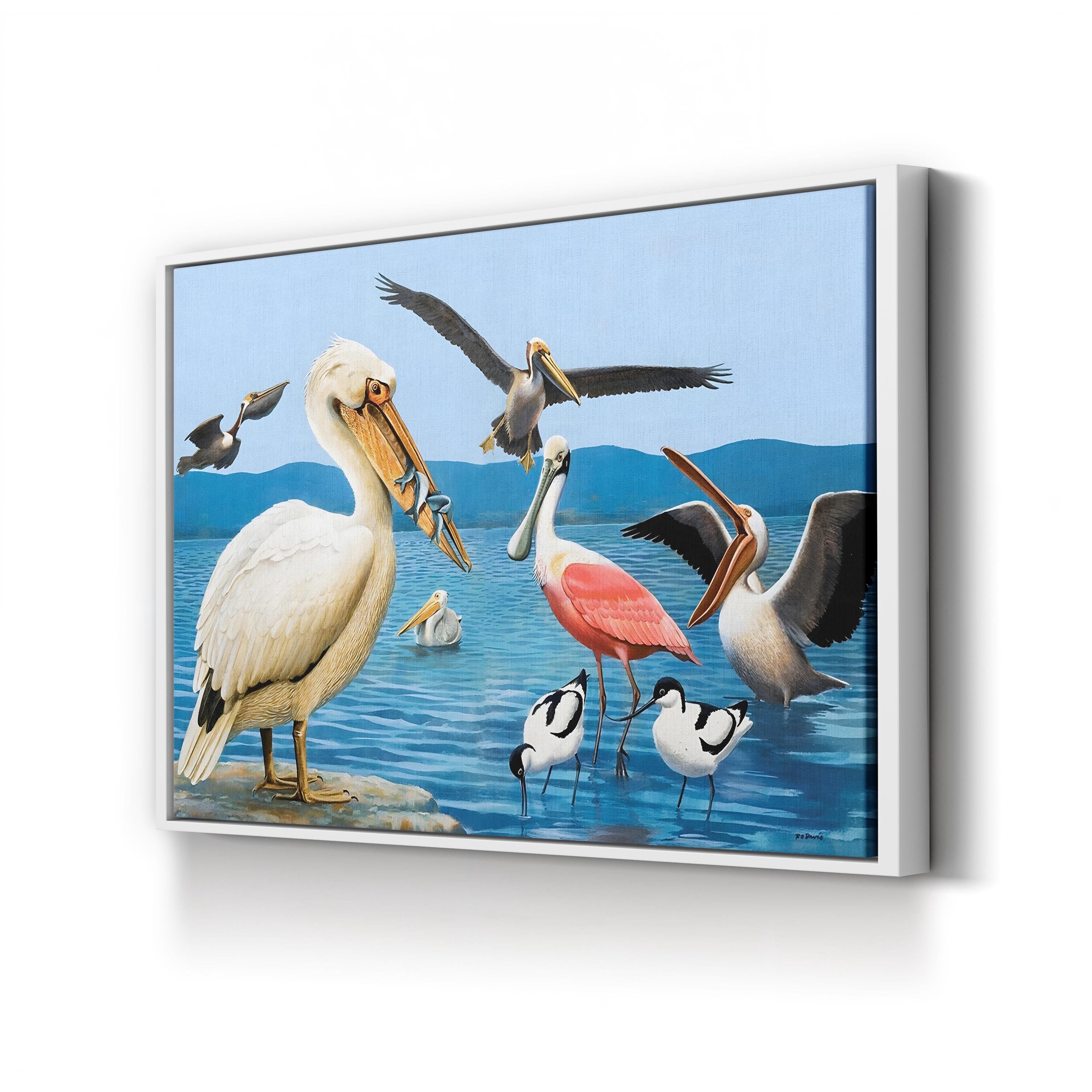 Birds with Strange Beaks Wall Art by Richard Barrett Davis – Coastal Bird Illustration, 1972