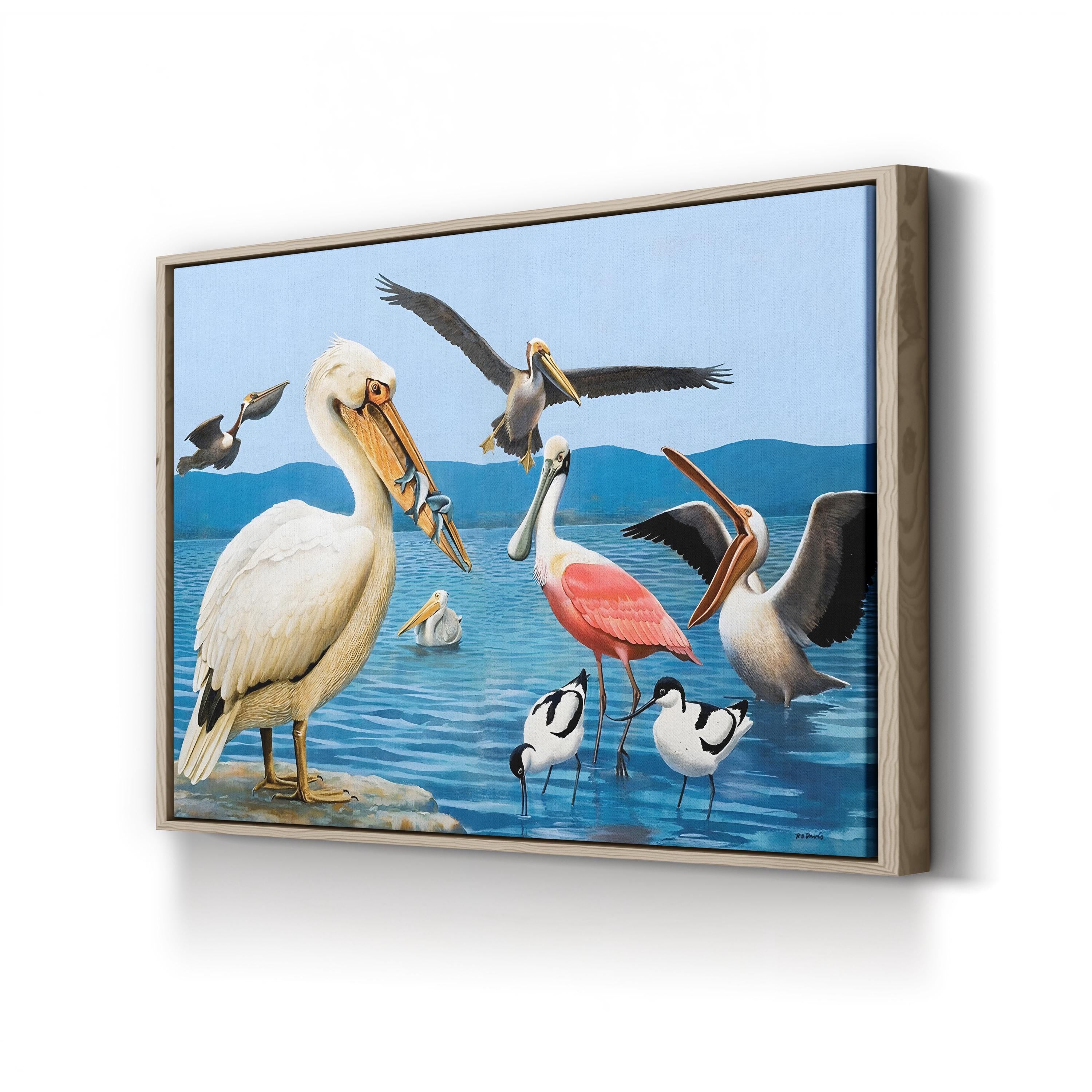 Birds with Strange Beaks Wall Art by Richard Barrett Davis – Coastal Bird Illustration, 1972