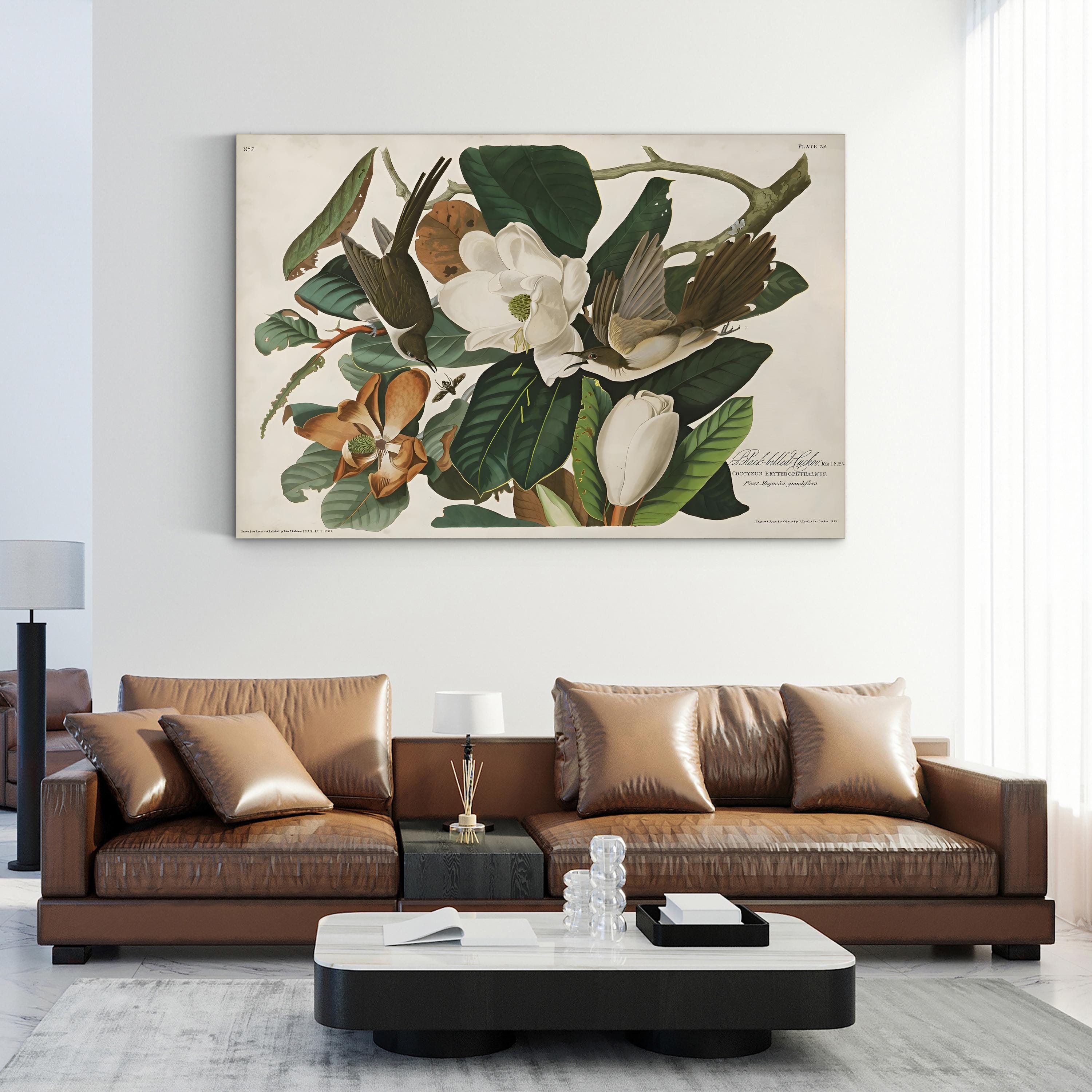 Magnolia & Cuckoo – John James Audubon Wall Art | Botanical Canvas Print