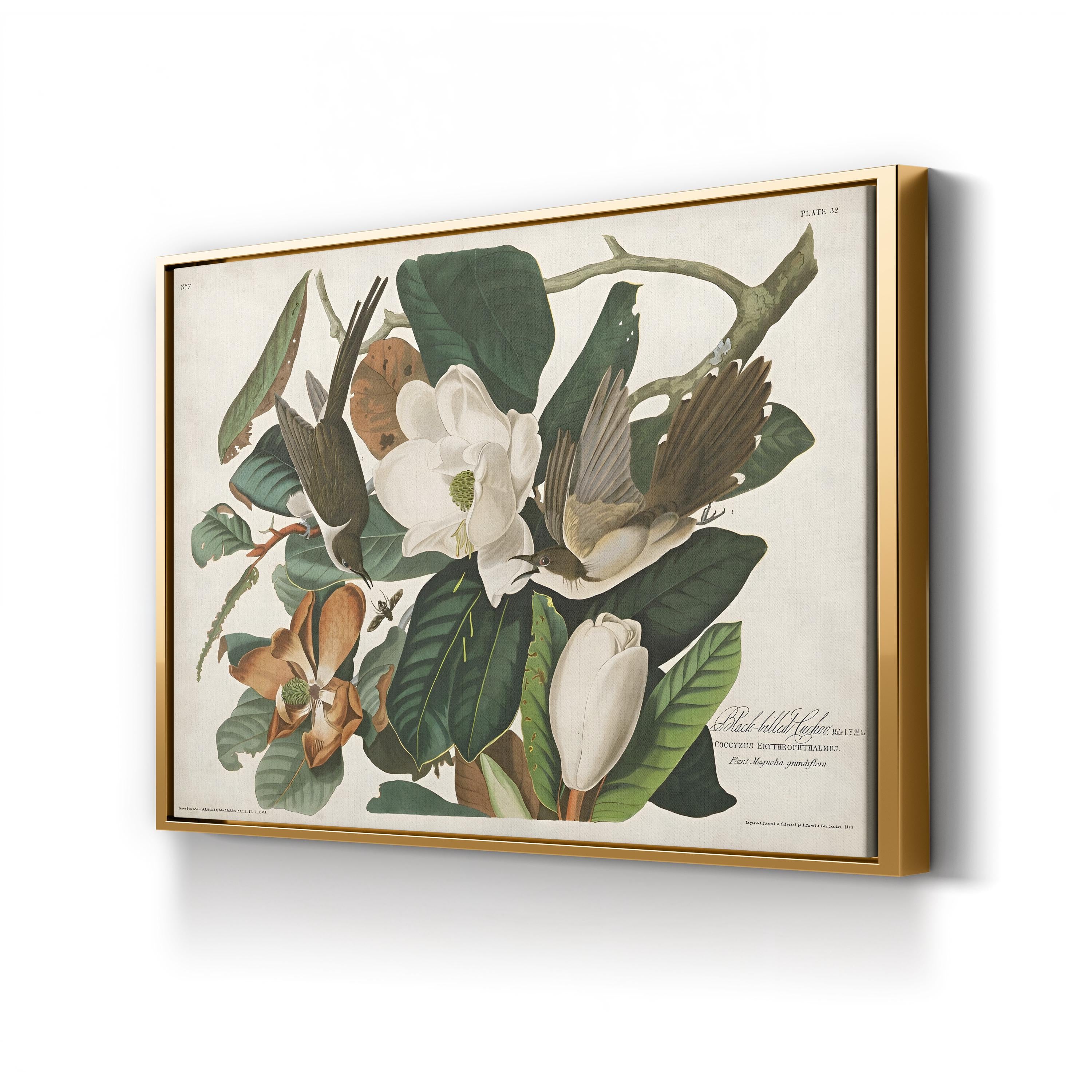 Magnolia & Cuckoo – John James Audubon Wall Art | Botanical Canvas Print