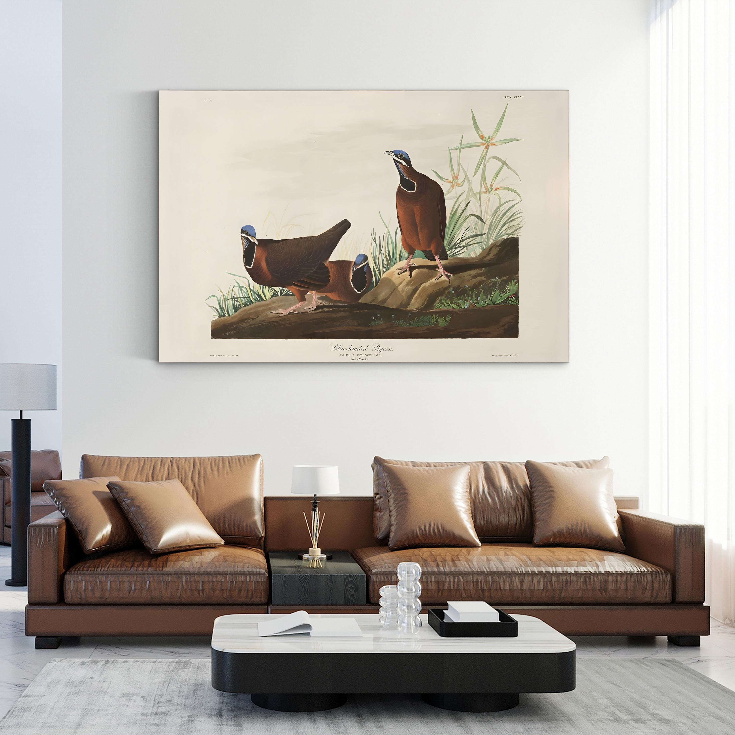 Blue-Headed Pigeon Wall Art by John James Audubon | 19th-Century Ornithological Illustration Canvas Print