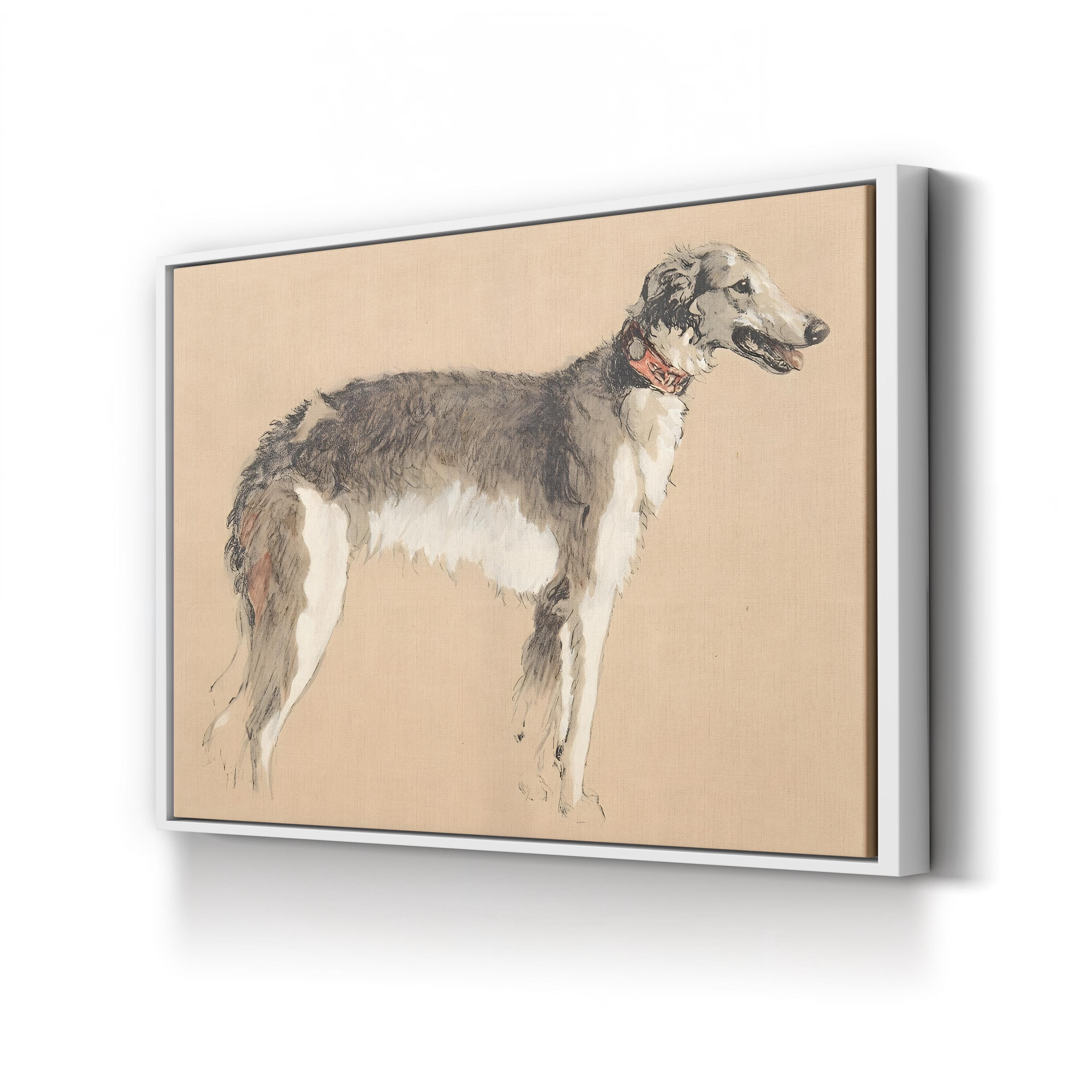 Borzoi Study, 1930, by Cecil Aldin canvas print in white frame