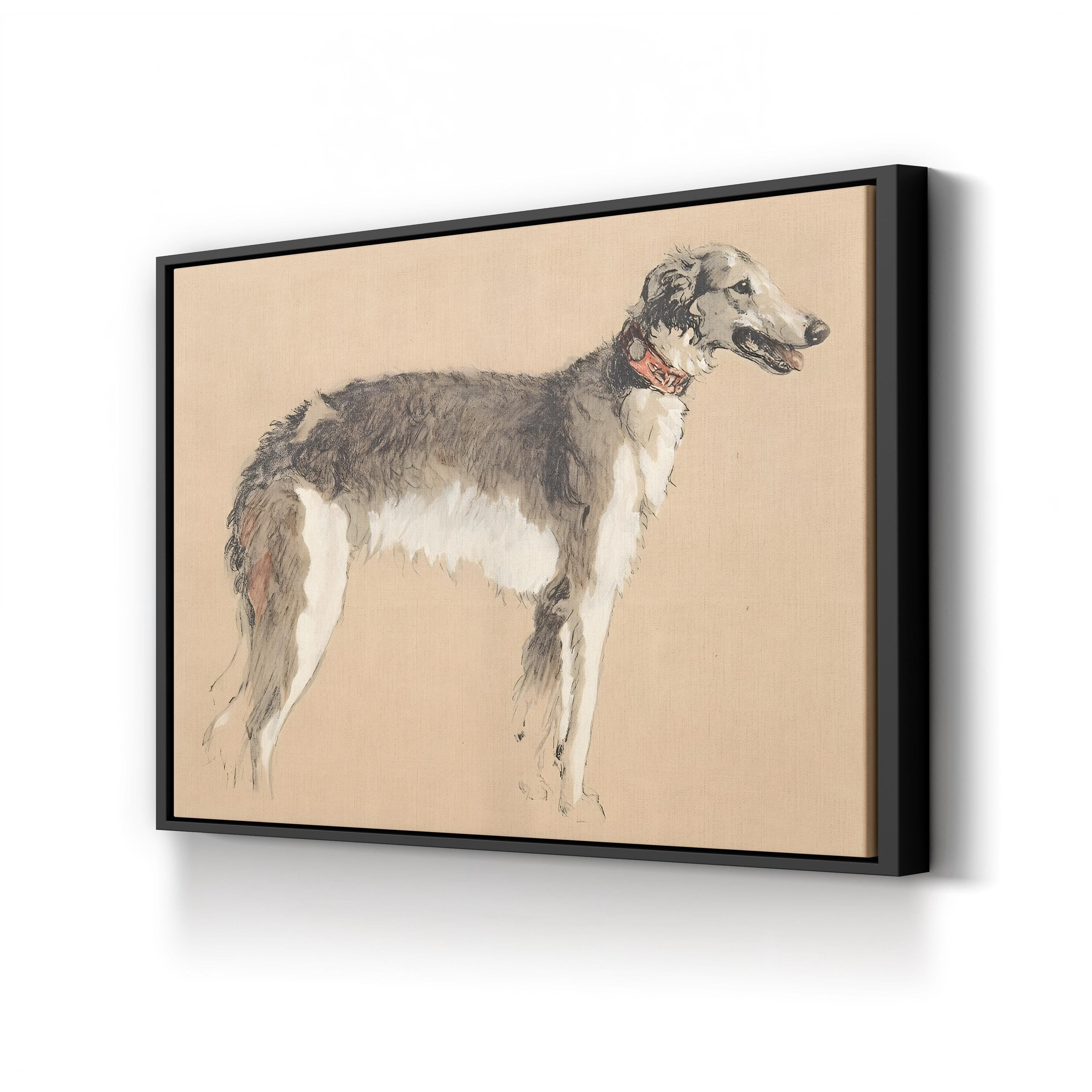 Borzoi Study, 1930, by Cecil Aldin canvas print in black frame