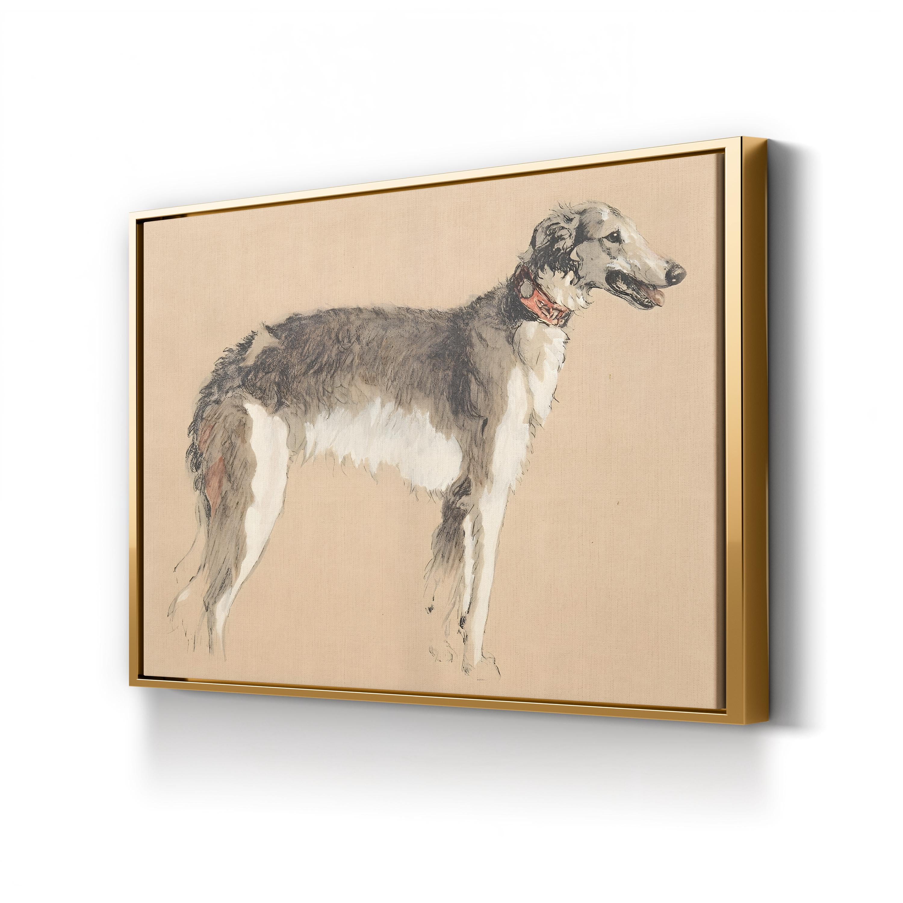 Borzoi Study, 1930, by Cecil Aldin canvas print in gold frame