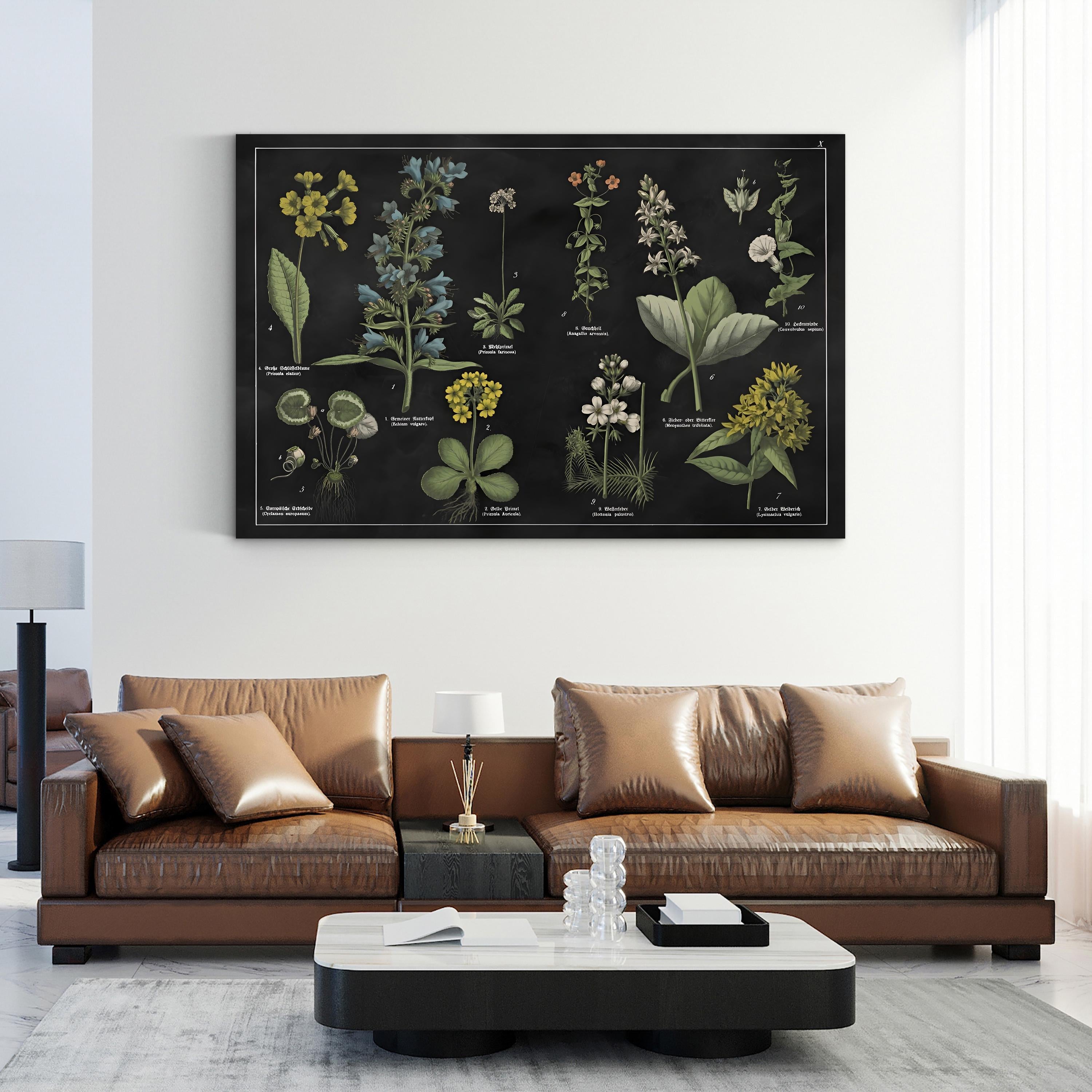 Botanical Floral Chart I Black and White Wall Art by Wild Apple Portfolio