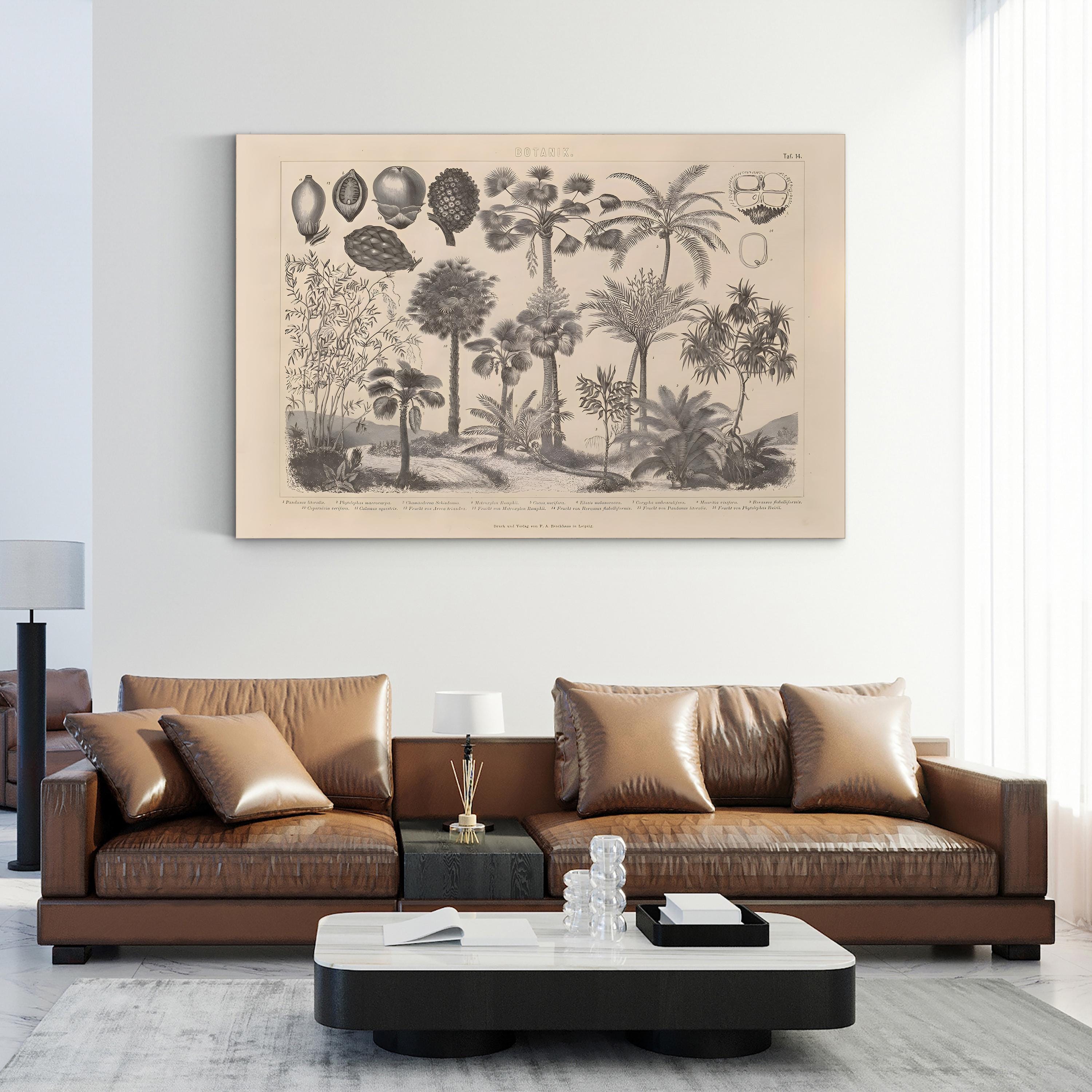 Vintage Botanical Canvas Print: Antique Plant Illustration, Garden Art