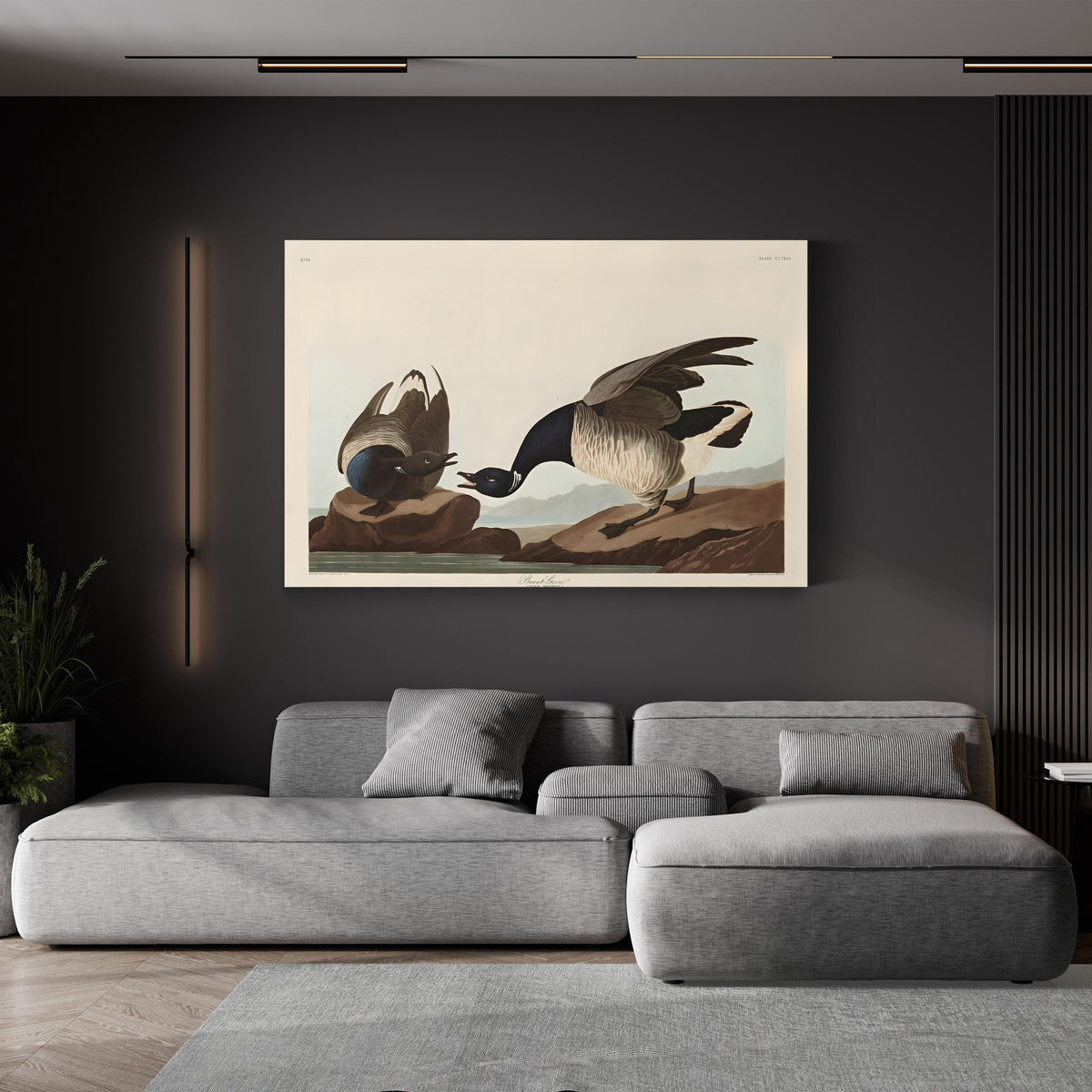 Brant Goose, c. 1837 by John James Audubon canvas print displayed in a living room