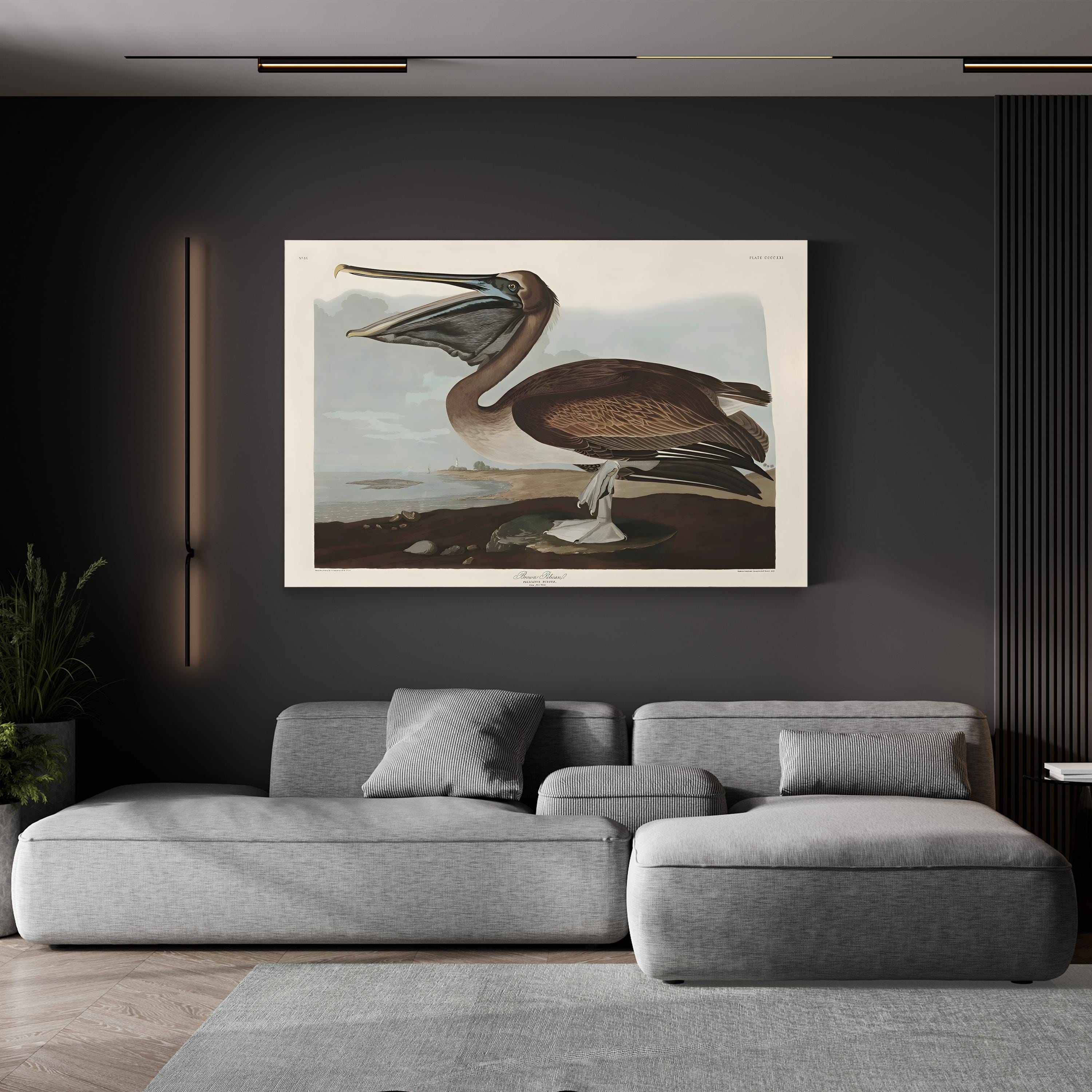 Brown Pelican Wall Art by John James Audubon – Vintage Natural History Bird Illustration Canvas