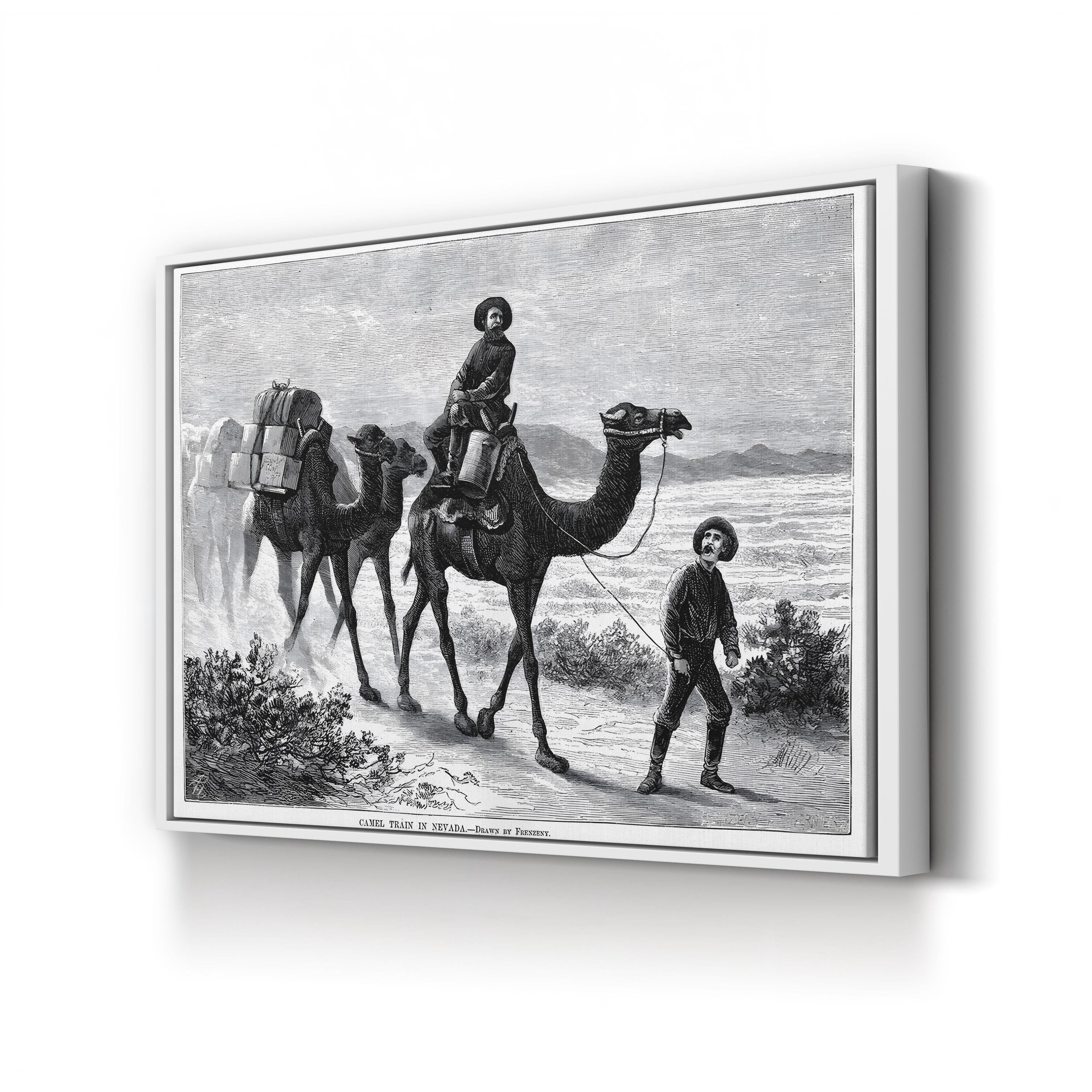 1877 American West Camel Caravan in the Nevada Desert