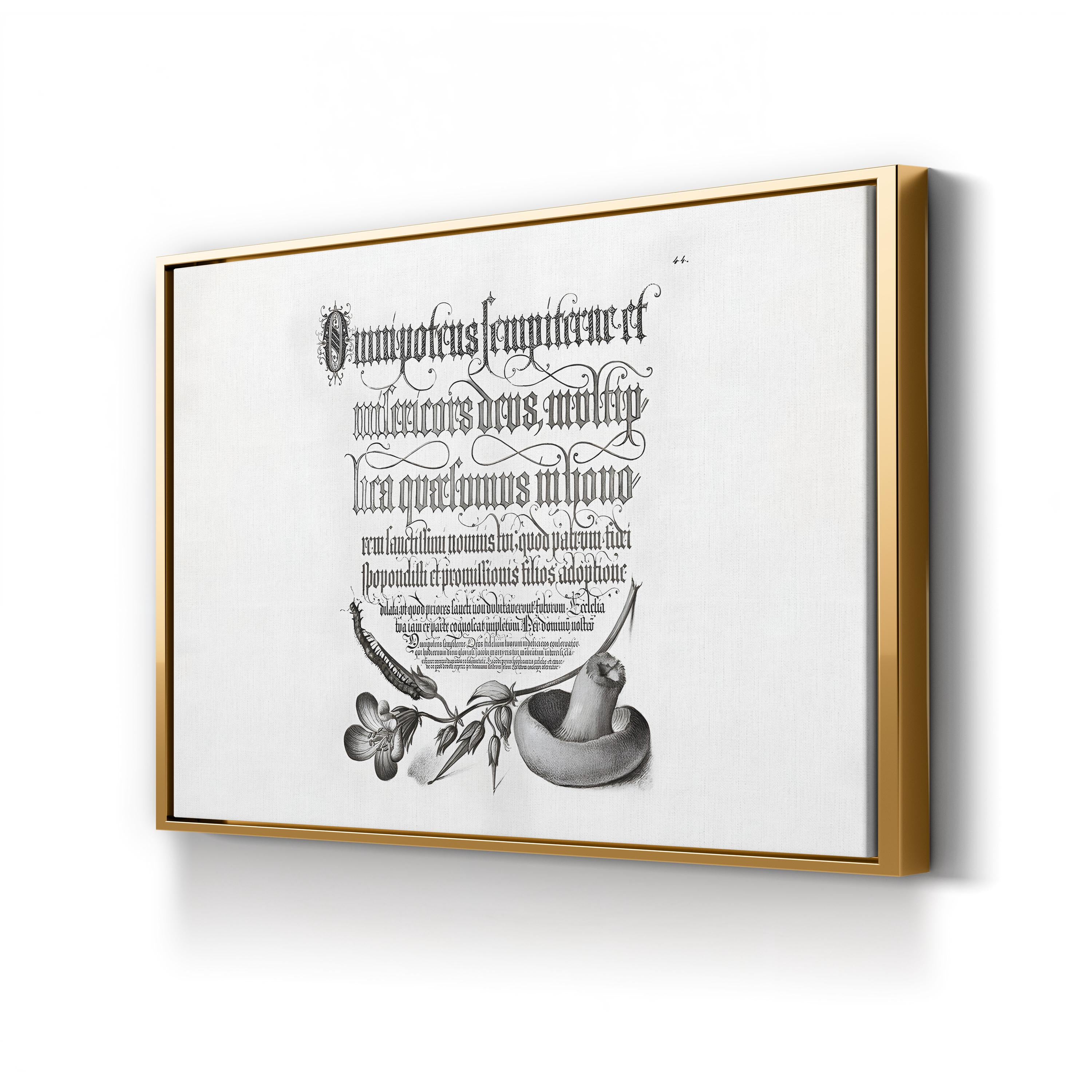 Centipede, Wood Cranesbill & Mushroom by Joris Hoefnagel & Georg Bocskay canvas print in Gold Framed Canvas