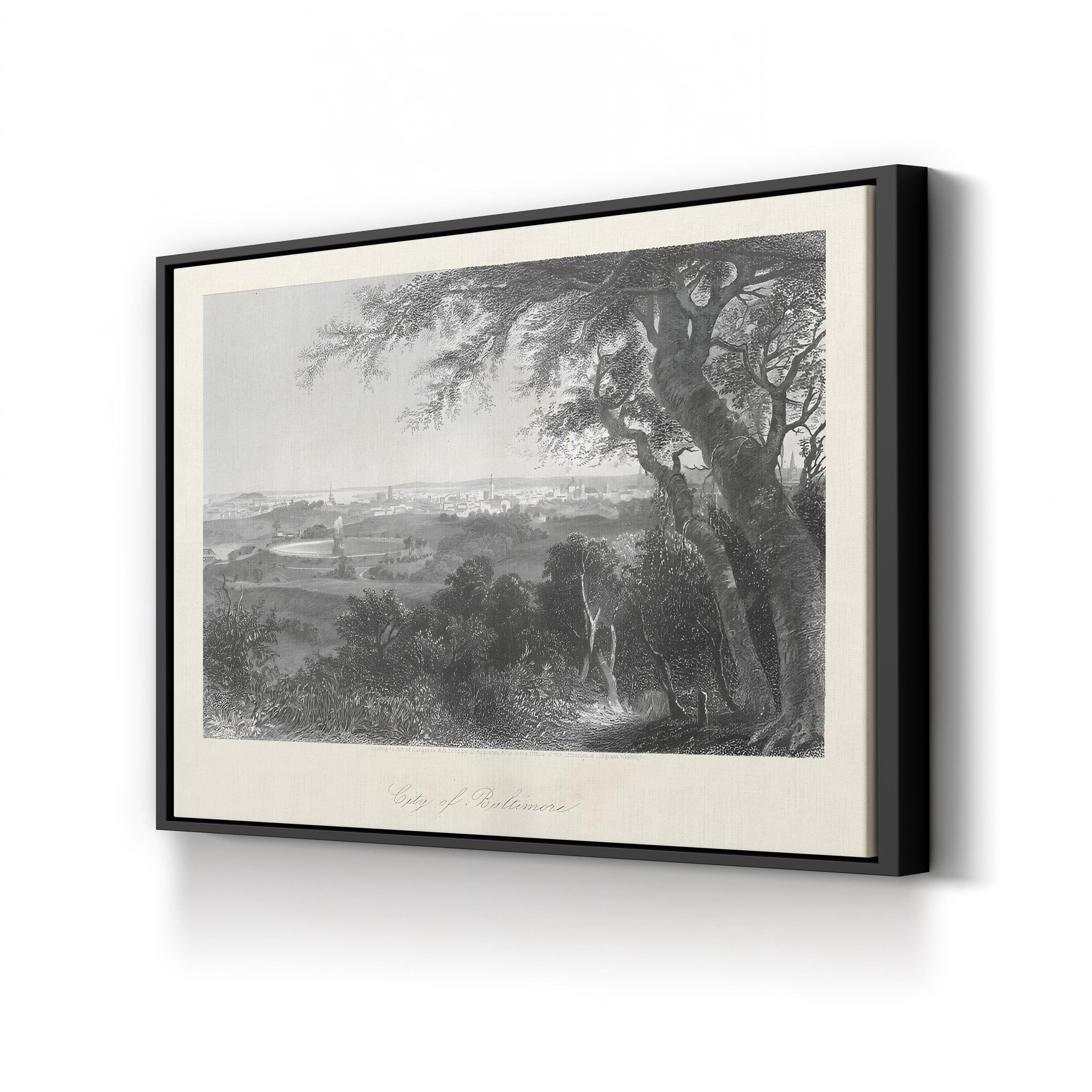 19th-Century Baltimore Cityscape – Period Illustration Wall Art | Historic Panorama Canvas Print