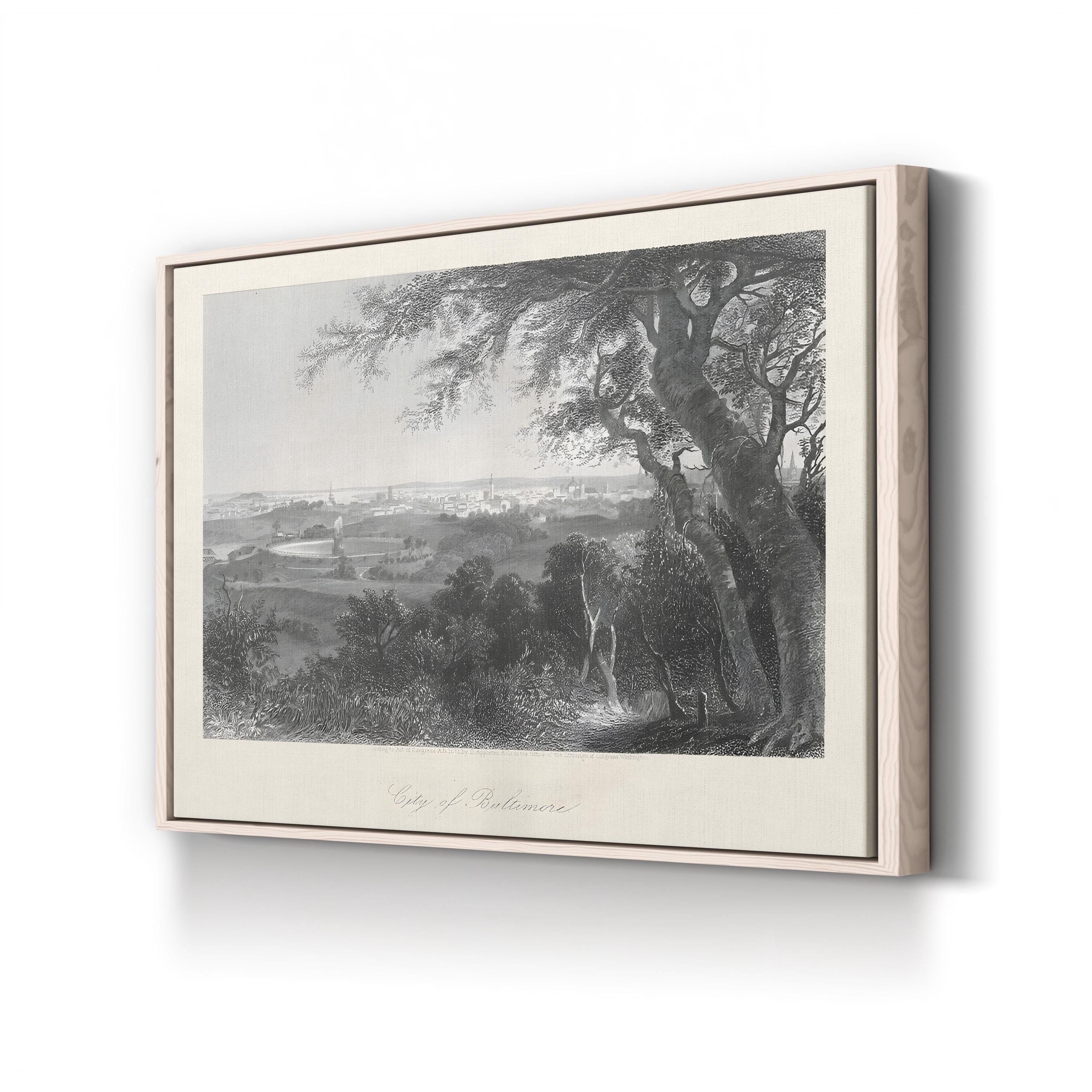 19th-Century Baltimore Cityscape – Period Illustration Wall Art | Historic Panorama Canvas Print