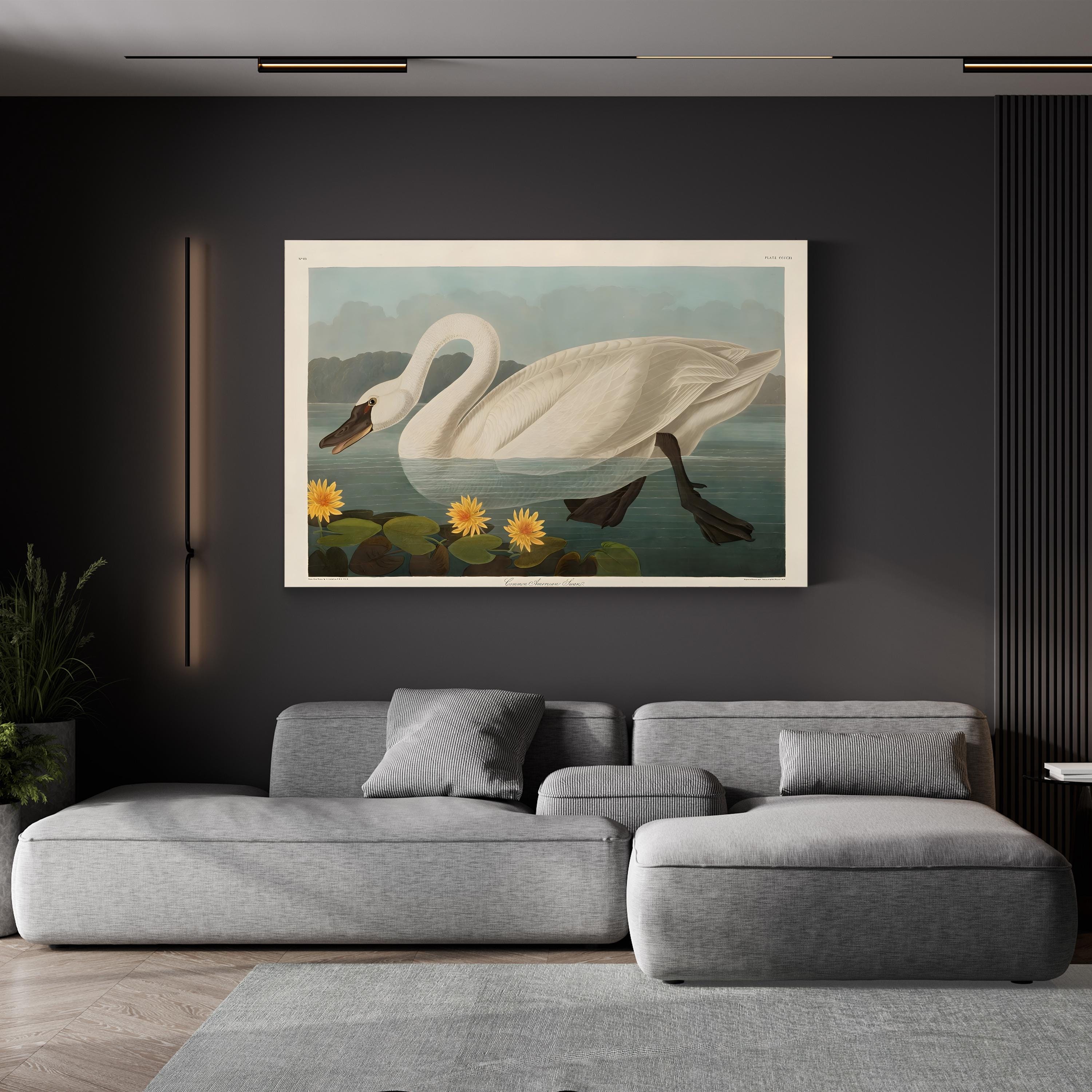 Vintage Swan Elegance – Period Illustration Wall Art | Wildlife Canvas Print