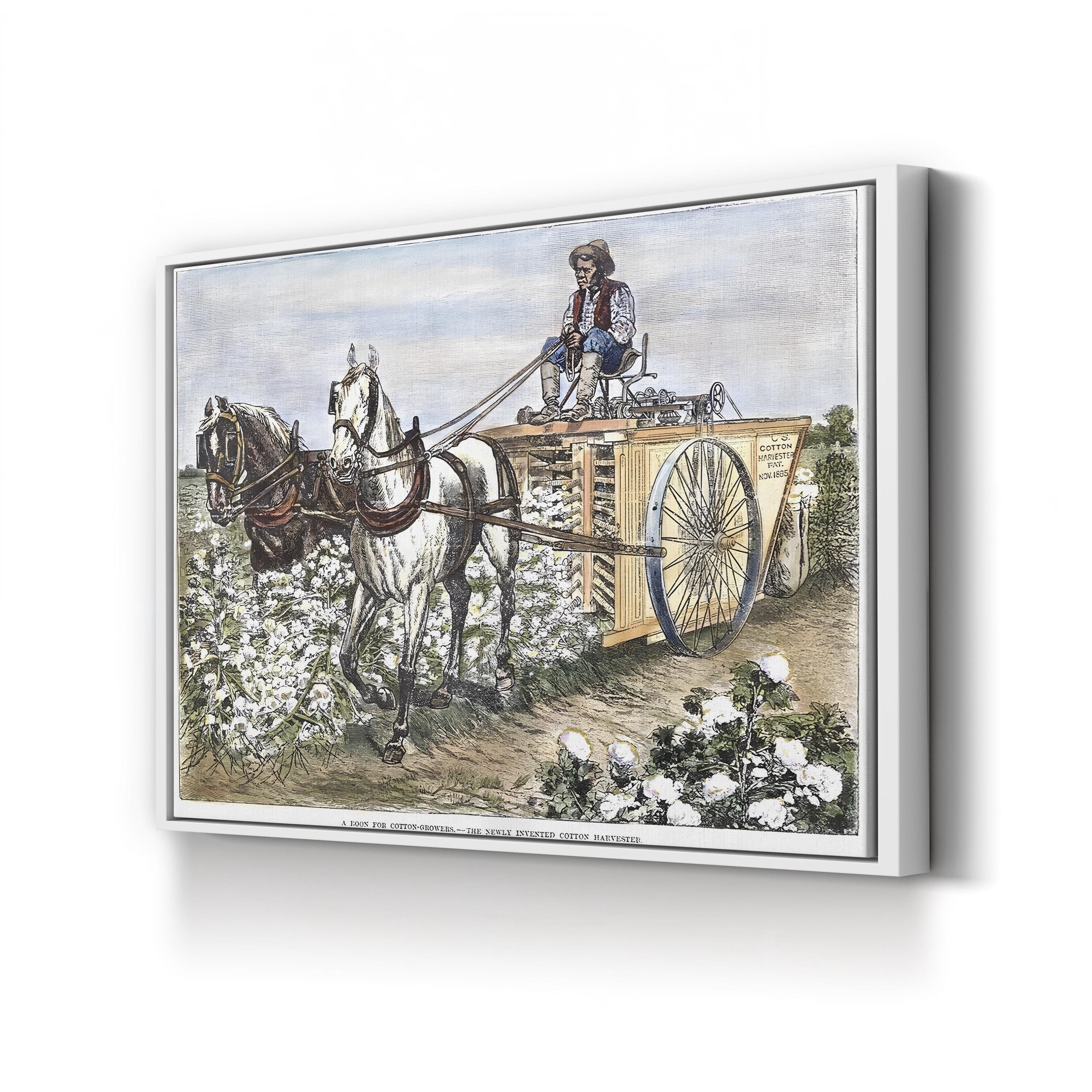 1886 Cotton Harvester Scene canvas print in White frame