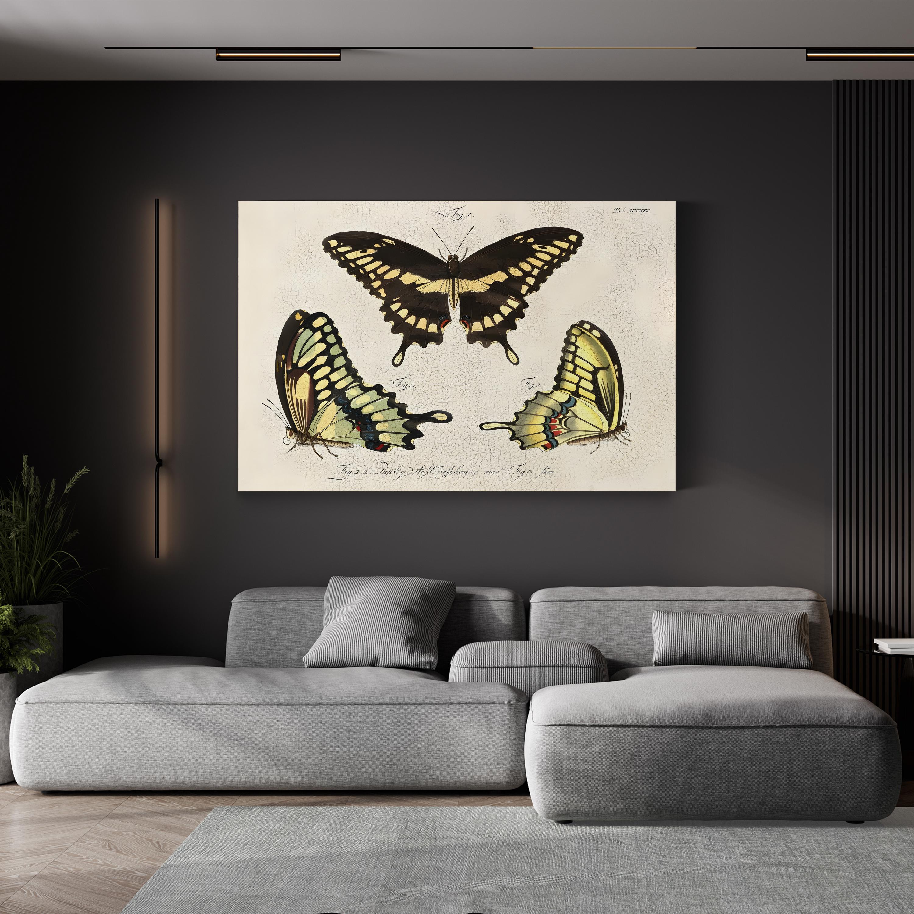 Crackled Butterflies I Wall Art by Vision Studio – Vintage Natural History Butterfly Illustration Canvas