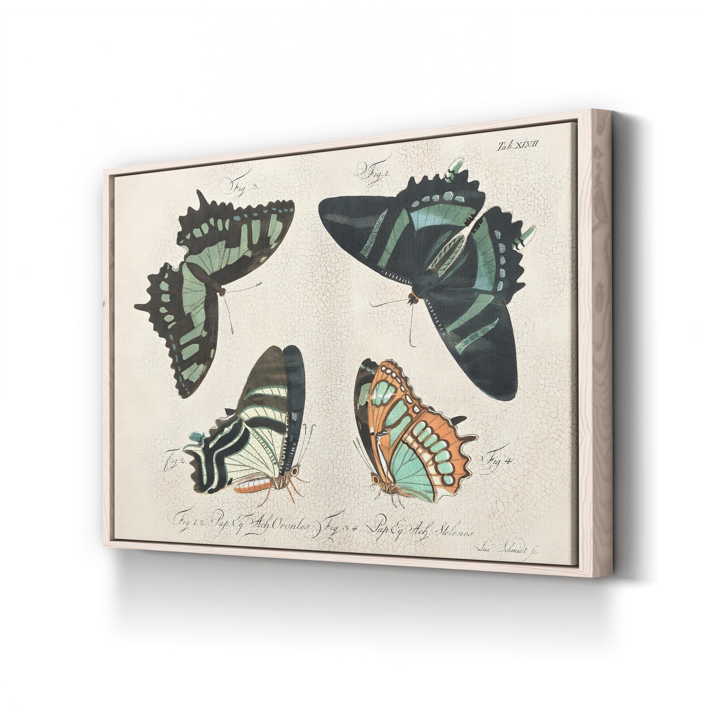 Crackled Butterflies III Wall Art